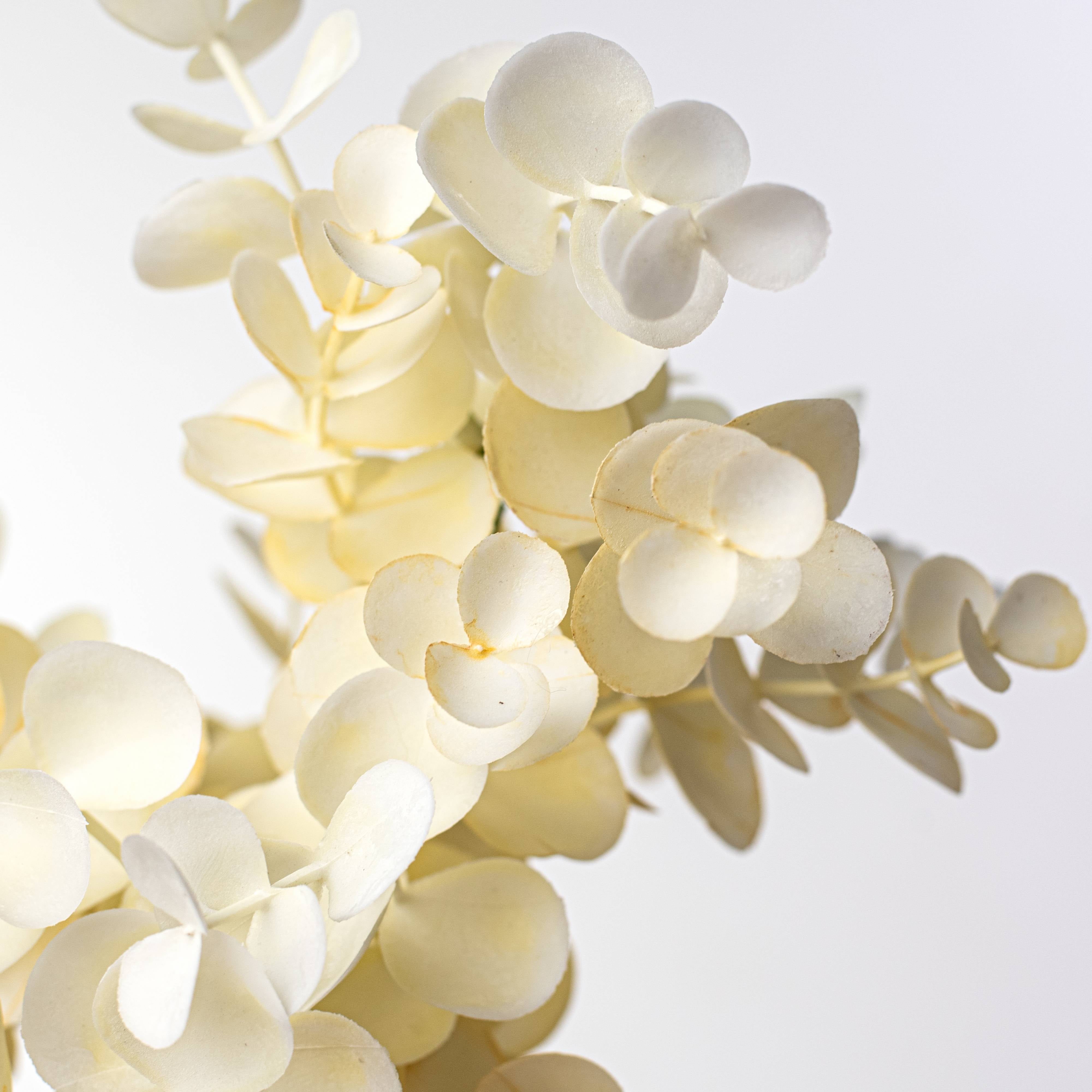 15" Eucalyptus Bundle: Cream Lifestyle Photo