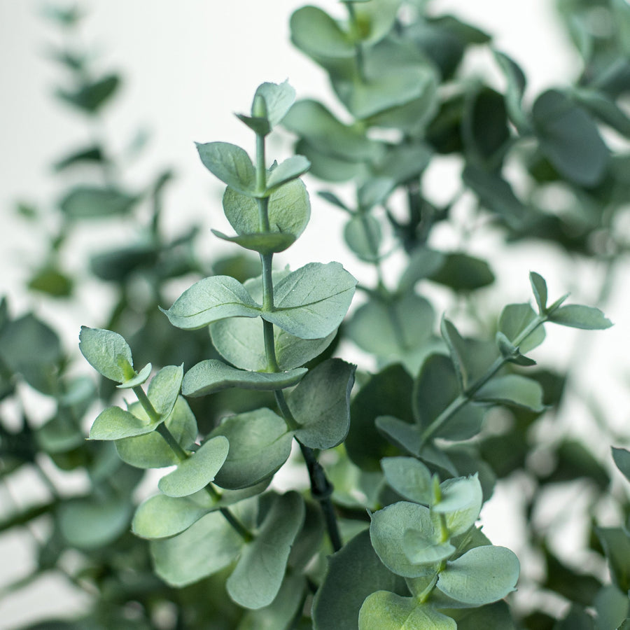 18" Eucalyptus Bush Lifestyle Photo