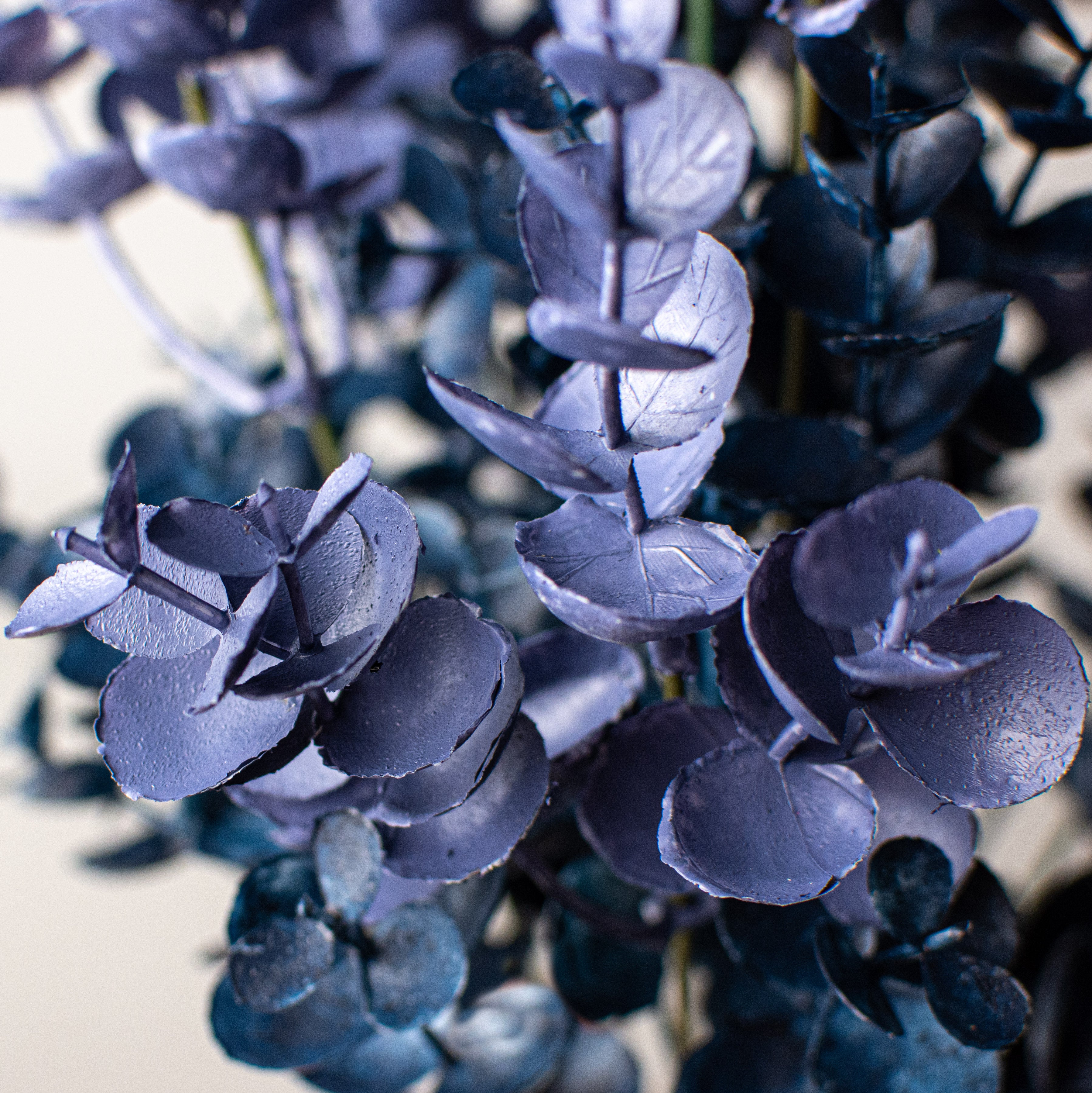 20" Eucalyptus Bush: Navy Blue Lifestyle Photo