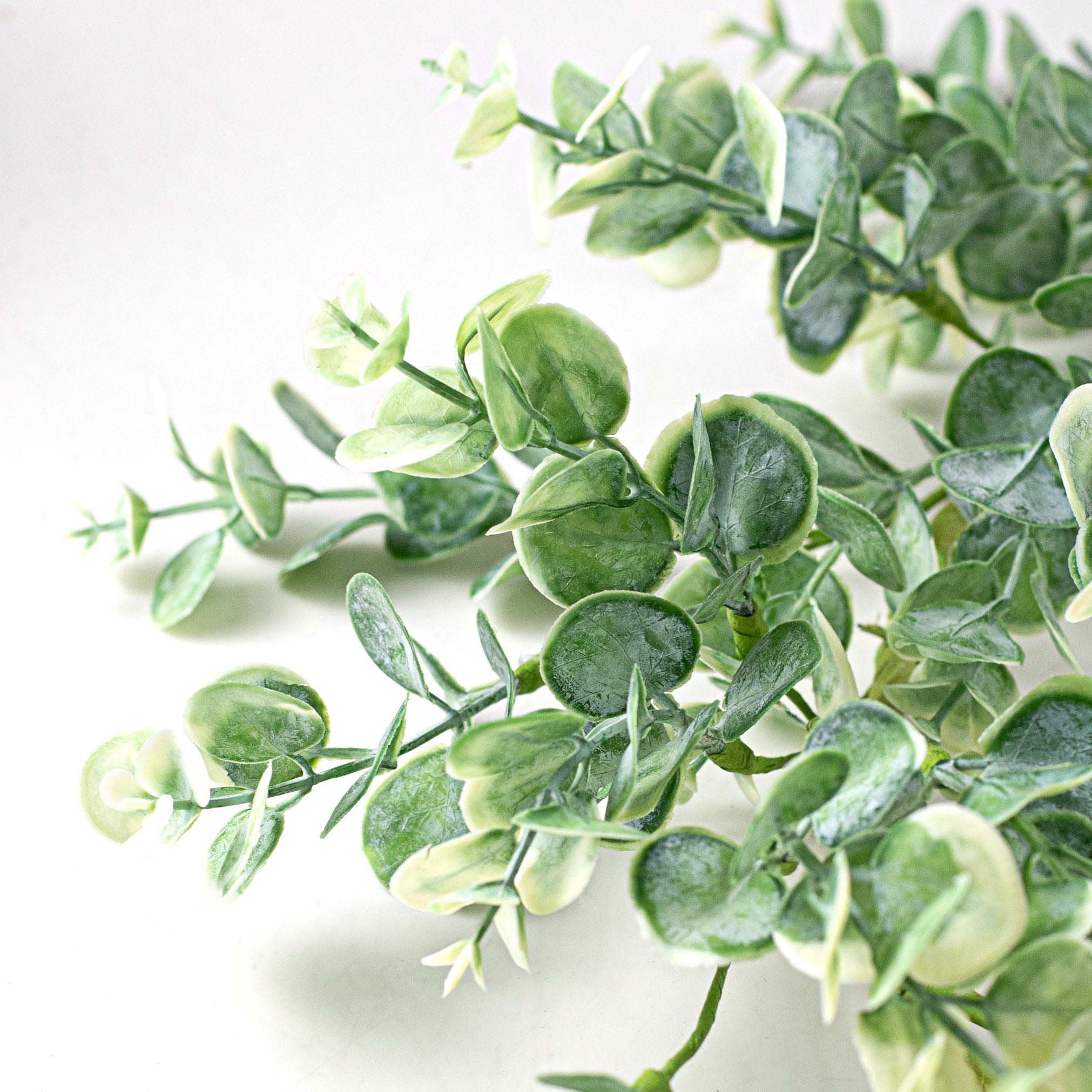 5' Eucalyptus Garland detail photo 3
