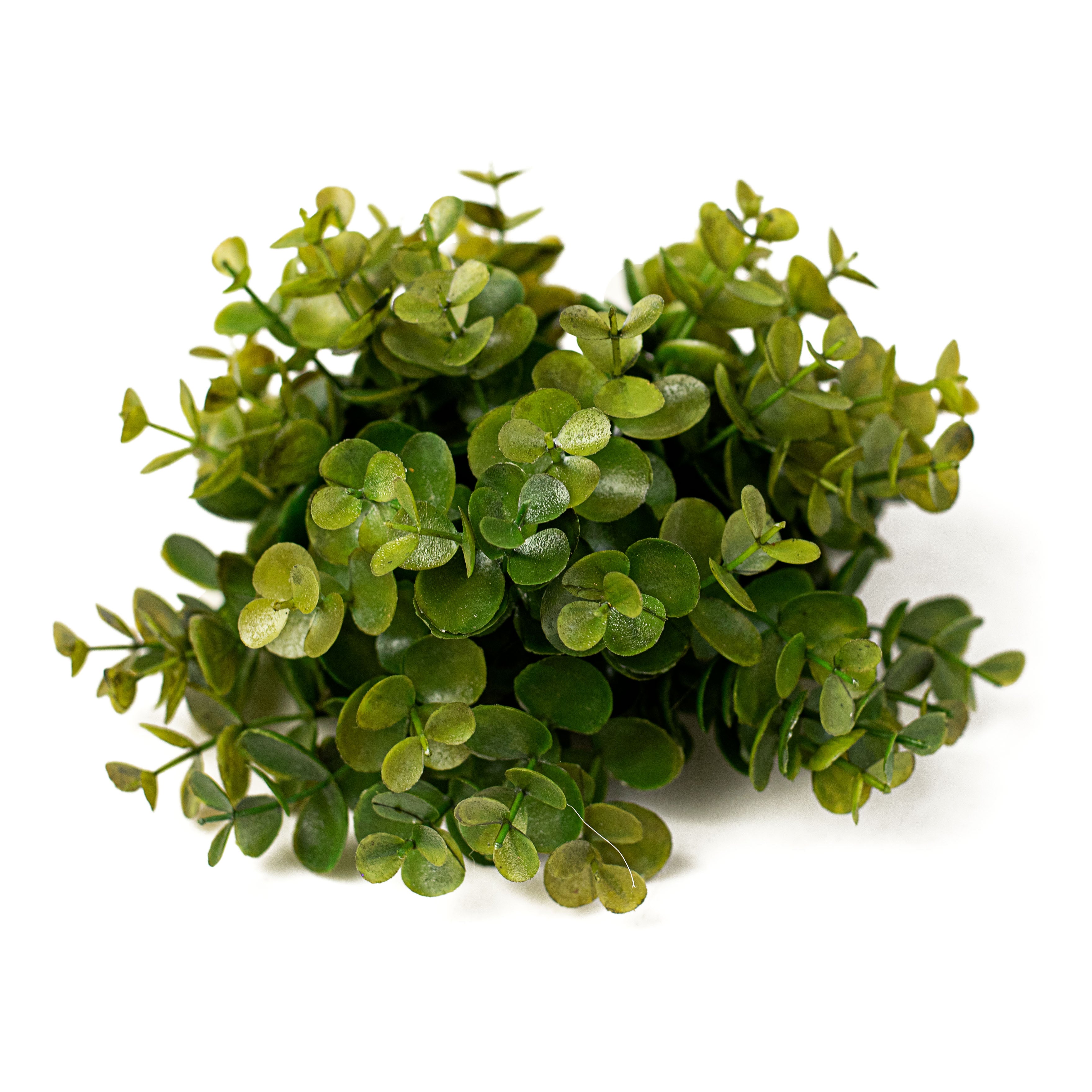7" Eucalyptus Half Ball Item Number: 13548GN