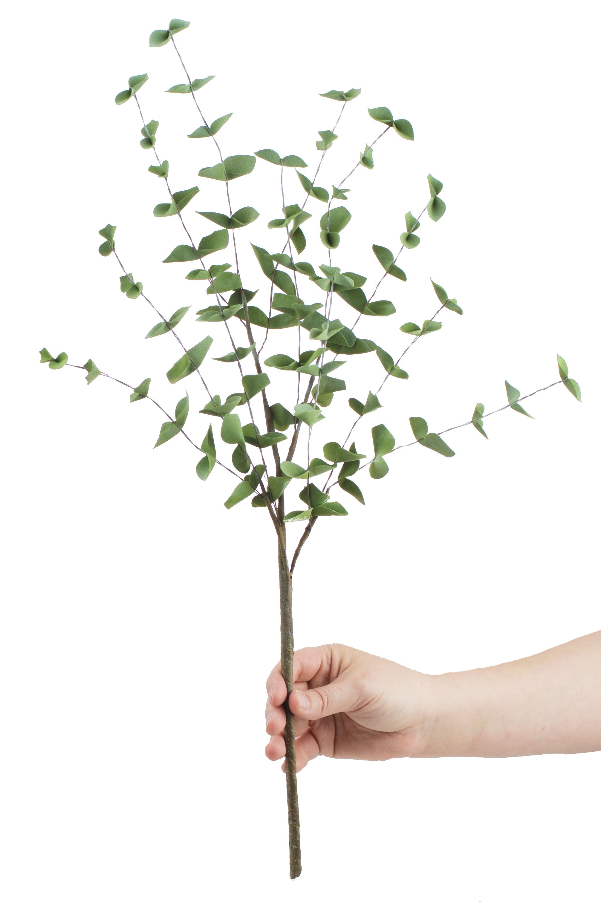 19" Eucalyptus Stem Pick Lifestyle Photo