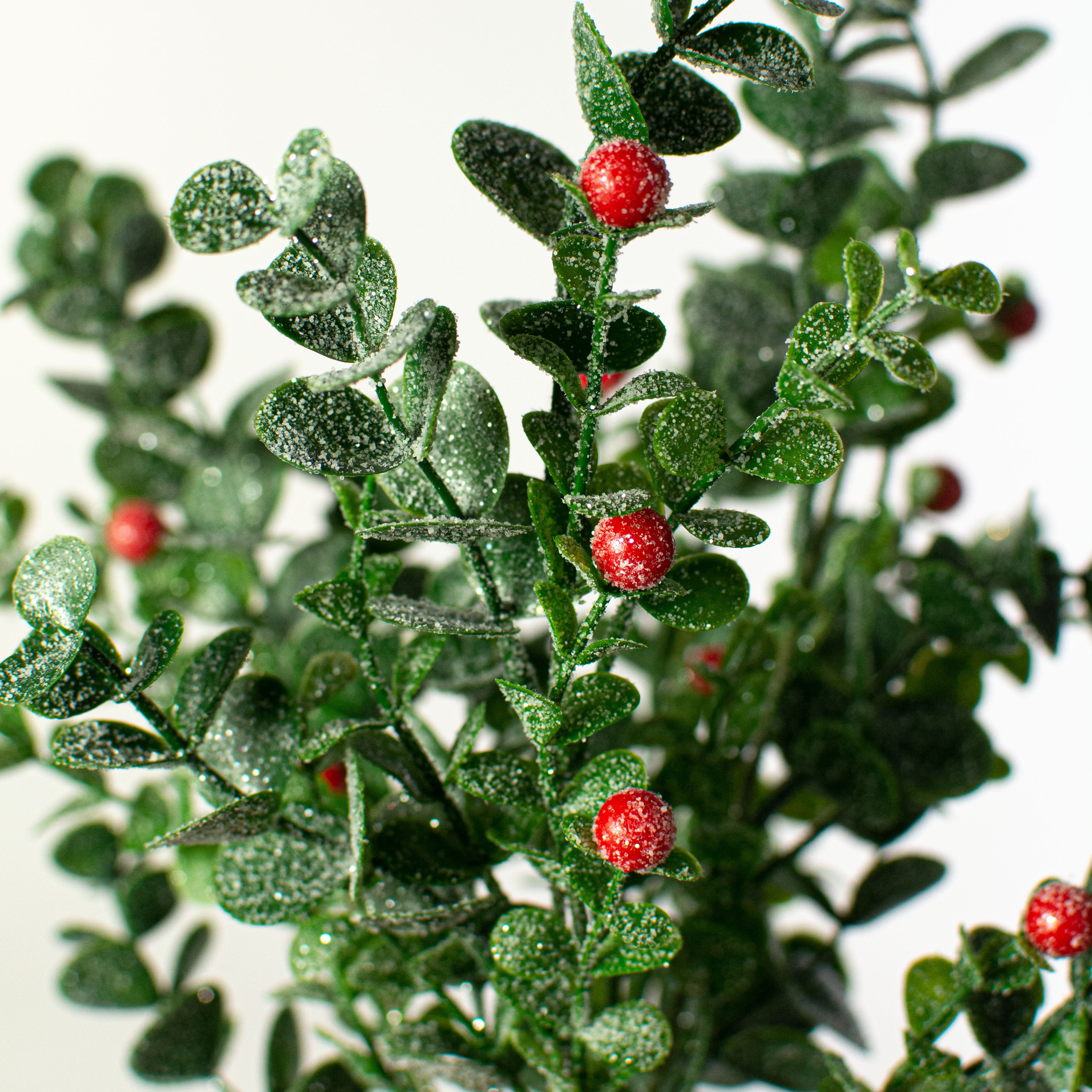 14" Eucalyptus Red Berry Bush Lifestyle Photo