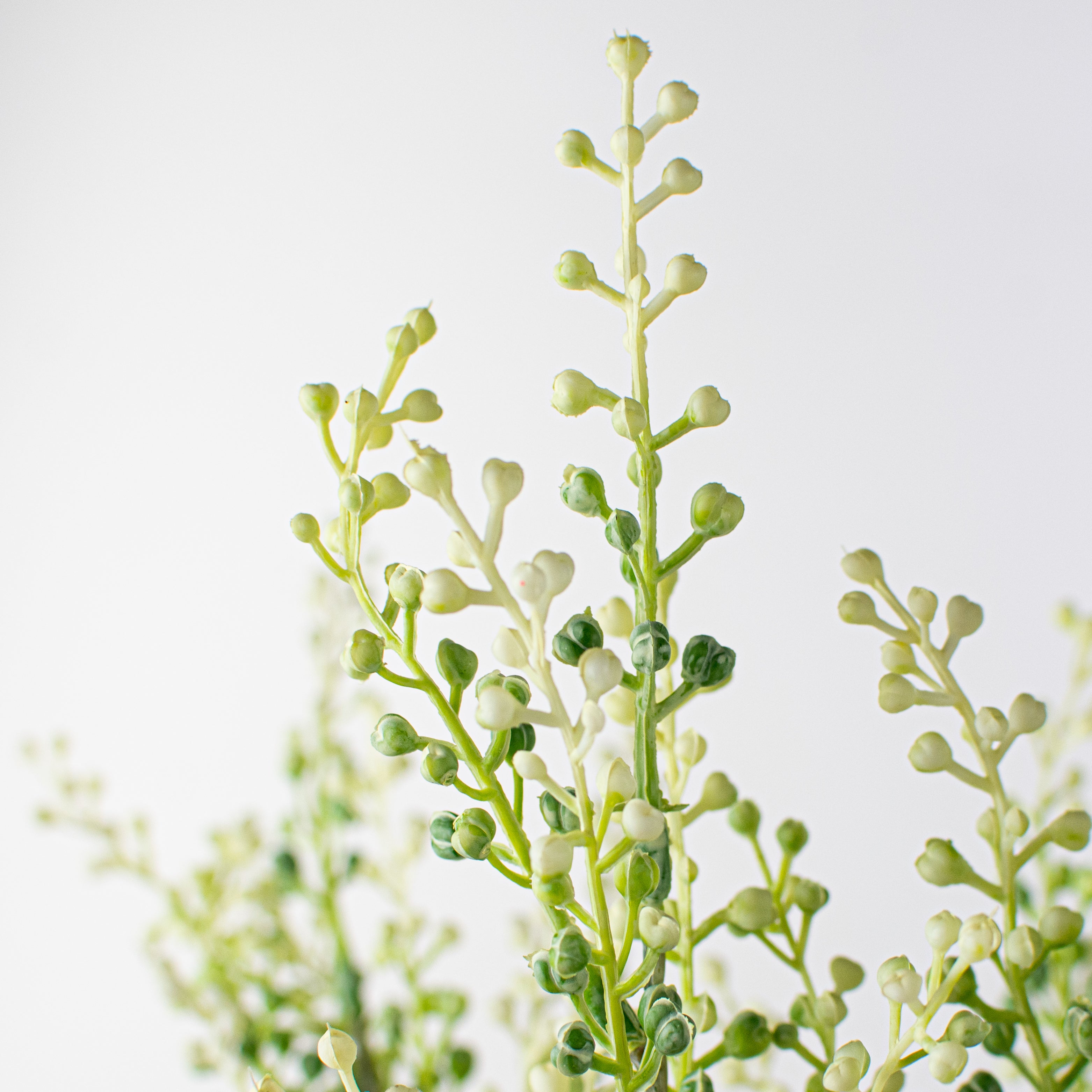 17" Eucalyptus Seed Pod Bush: White & Green Lifestyle Photo
