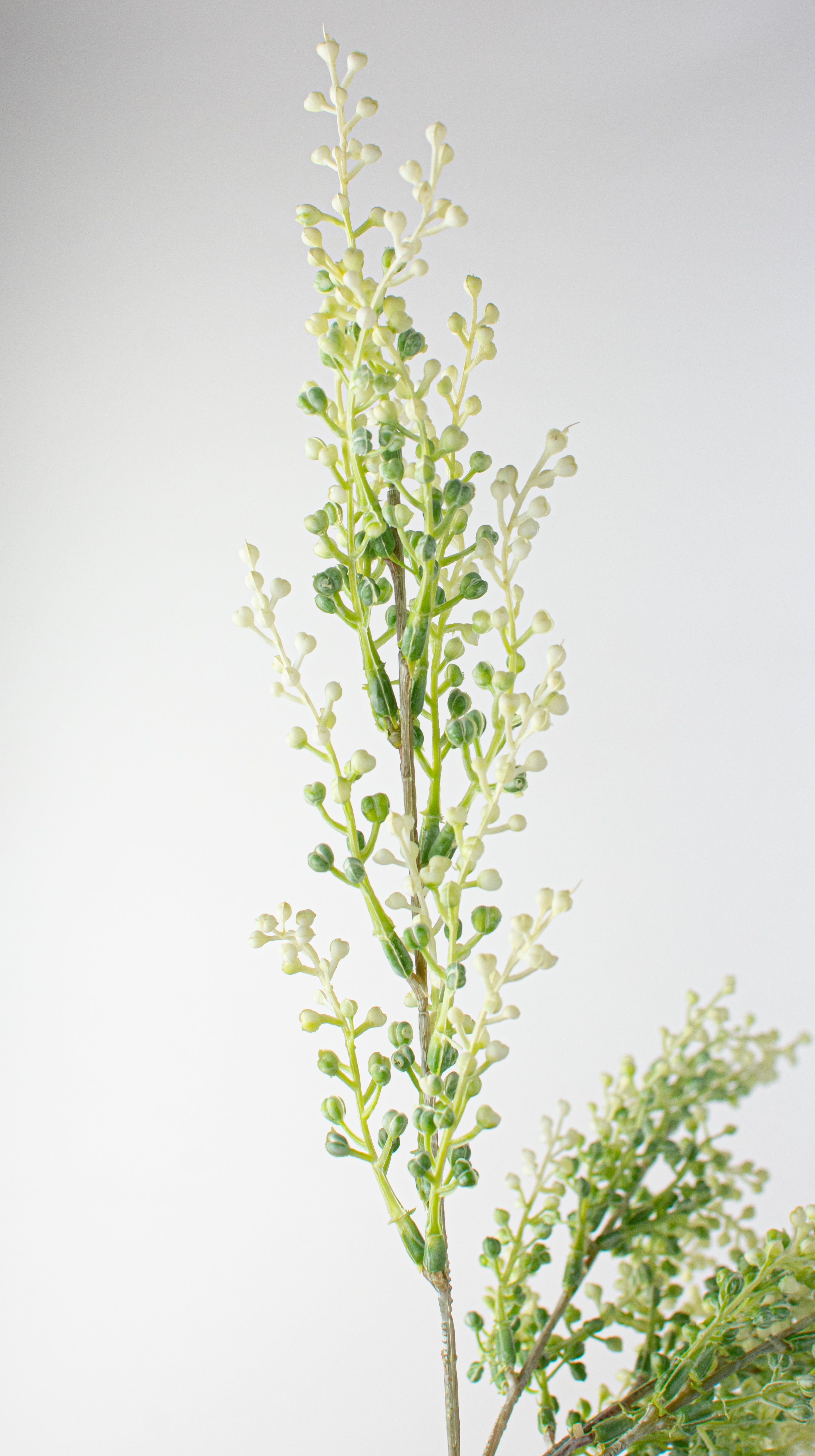 17" Eucalyptus Seed Pod Bush: White & Green detail photo 4