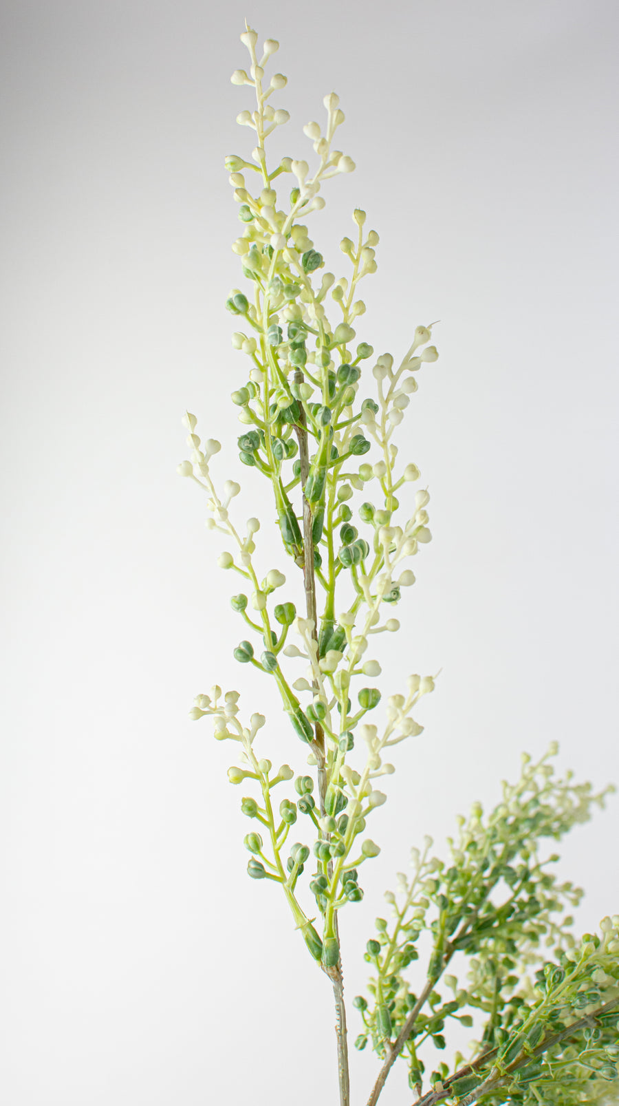 17" Eucalyptus Seed Pod Bush: White & Green detail photo 4