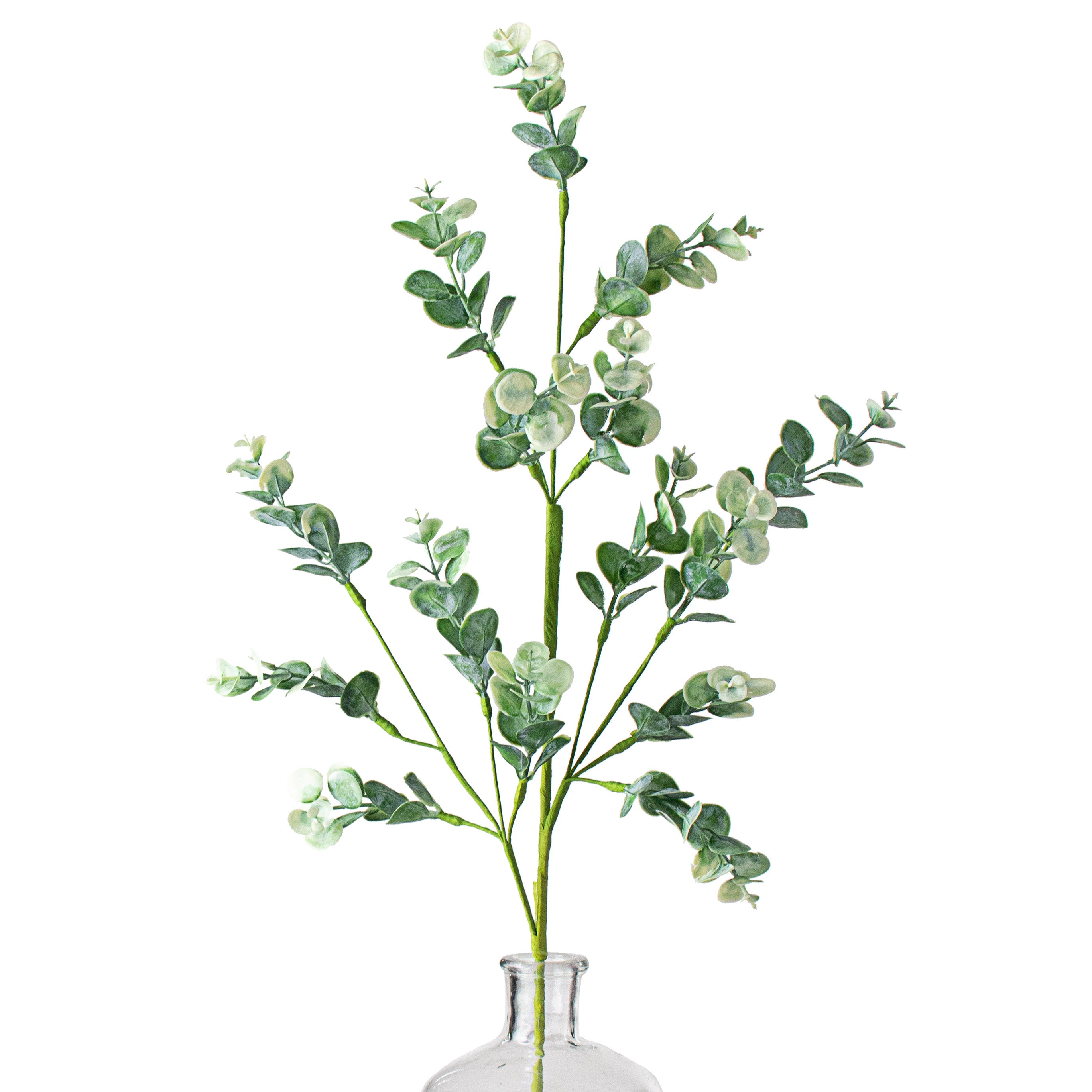 28" Eucalyptus Spray Item Number: 13554SP28