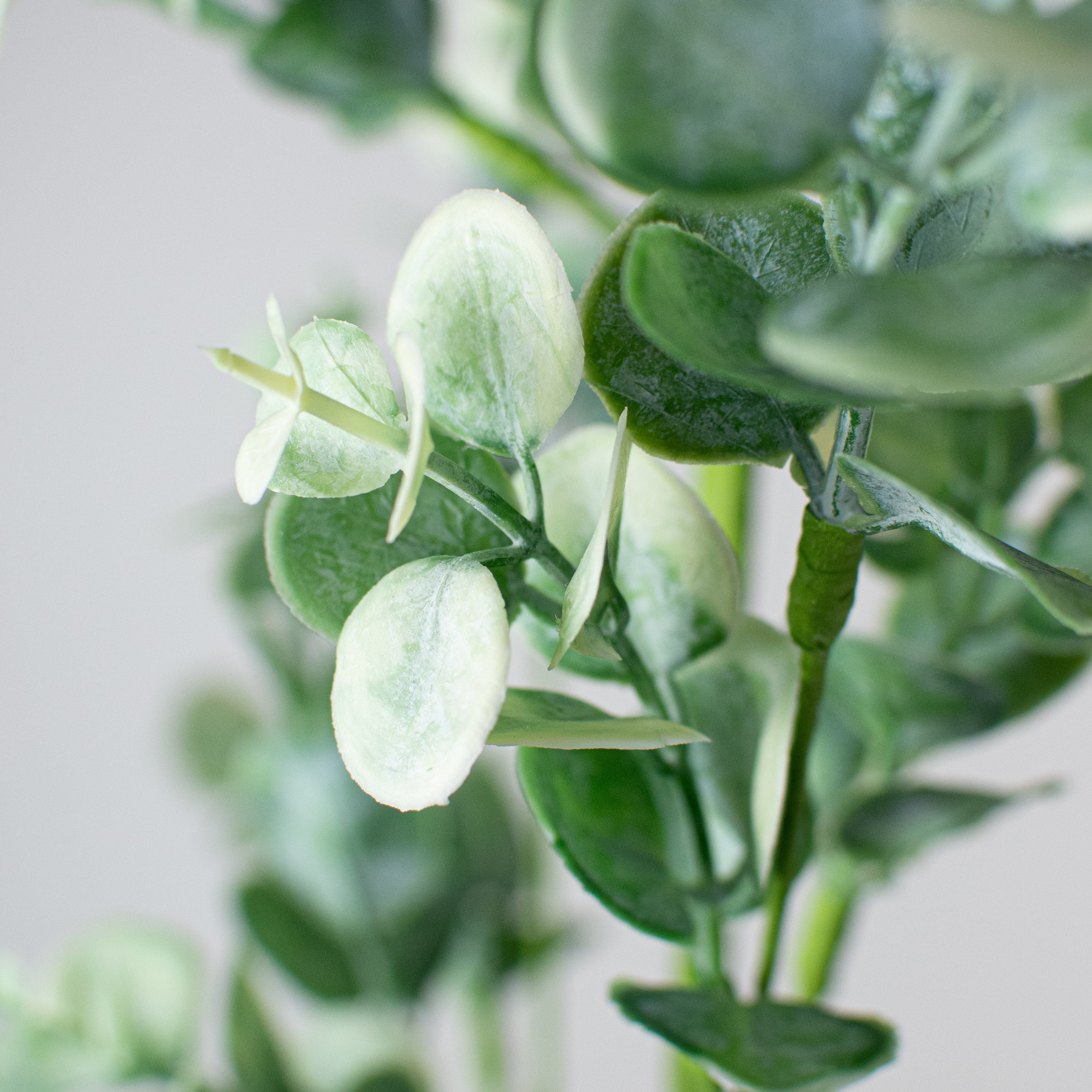 28" Eucalyptus Spray Lifestyle Photo
