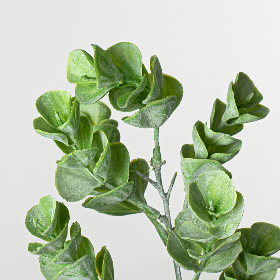 24" Eucalyptus Spray Lifestyle Photo