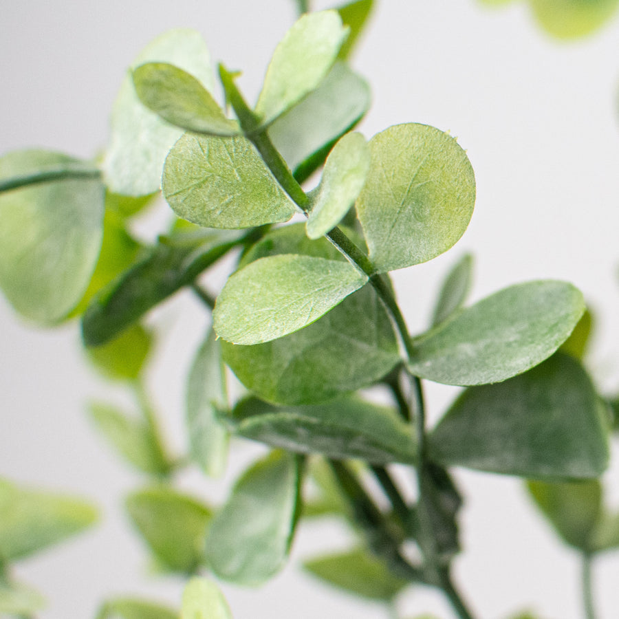 22.5" Eucalyptus Spray Lifestyle Photo