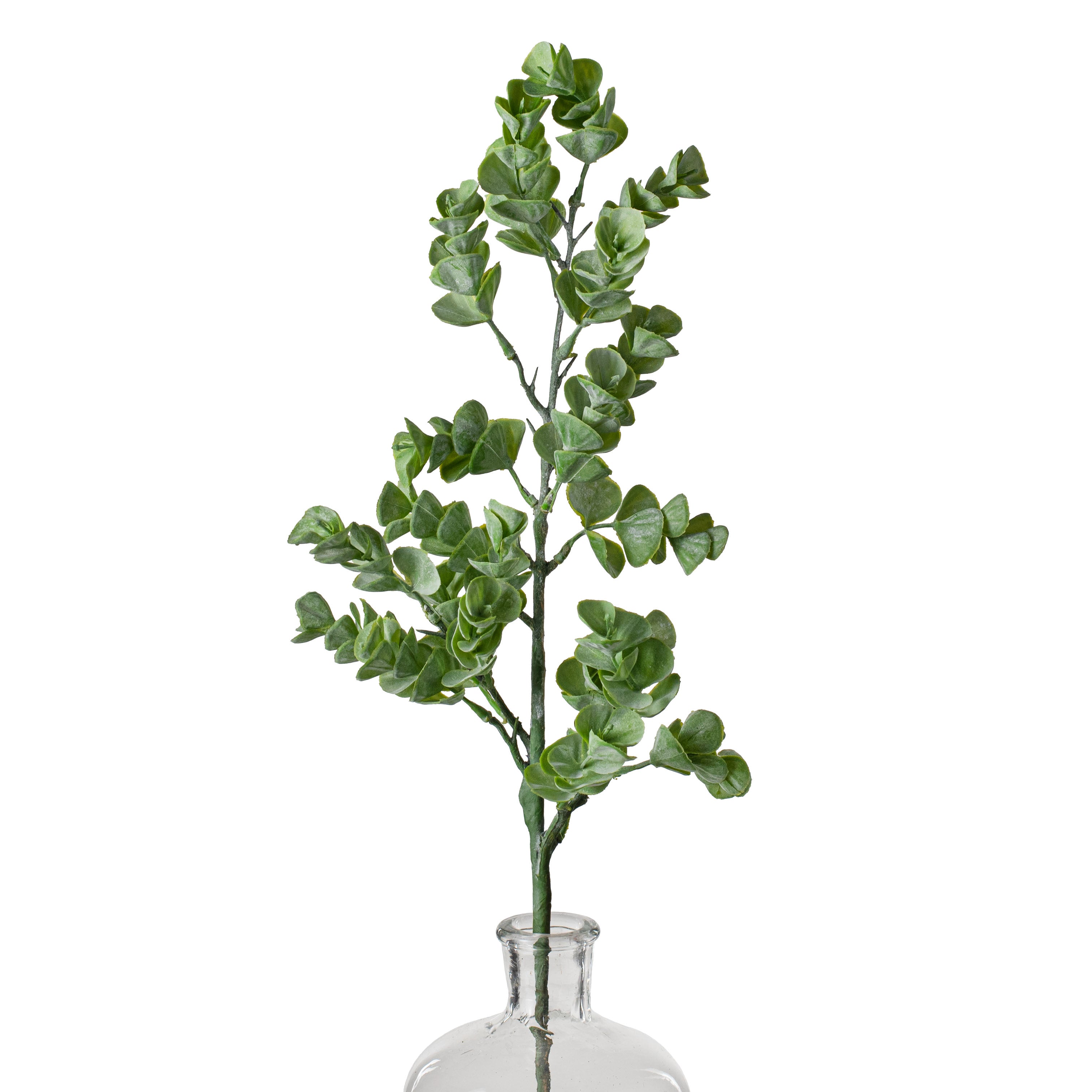 24" Eucalyptus Spray Item Number: 2310401GR