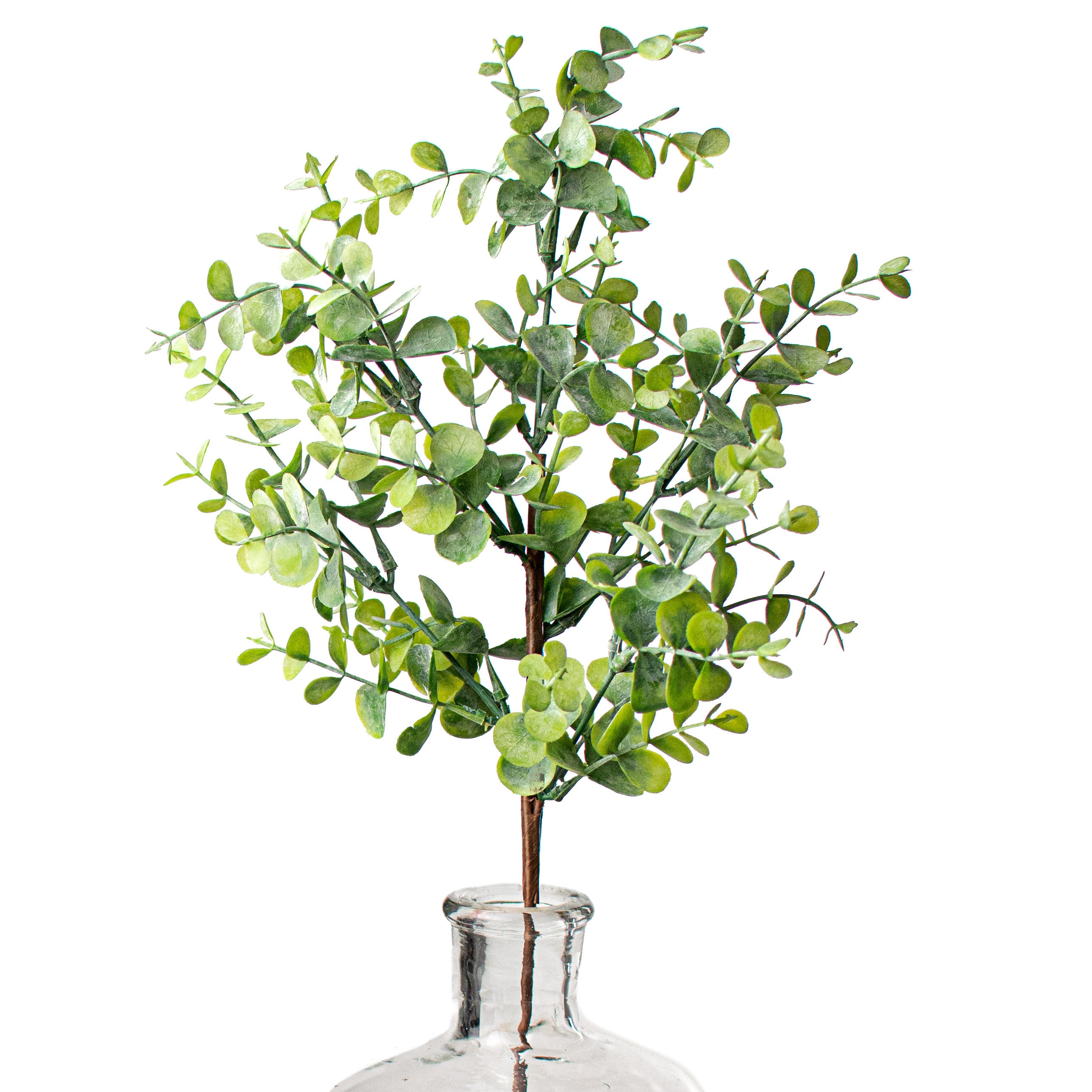 22.5" Eucalyptus Spray Item Number: 285773