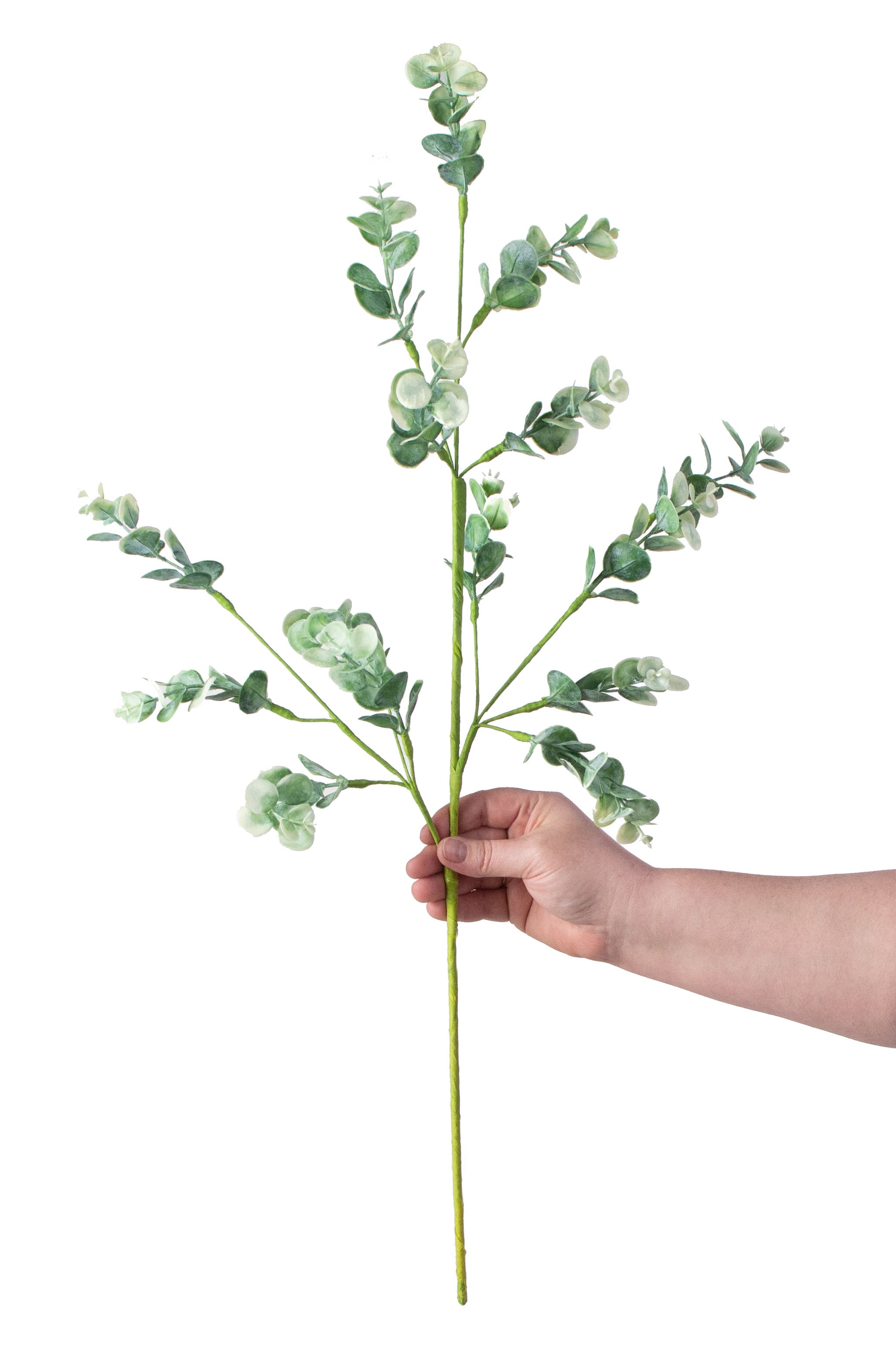 28" Eucalyptus Spray detail photo 3