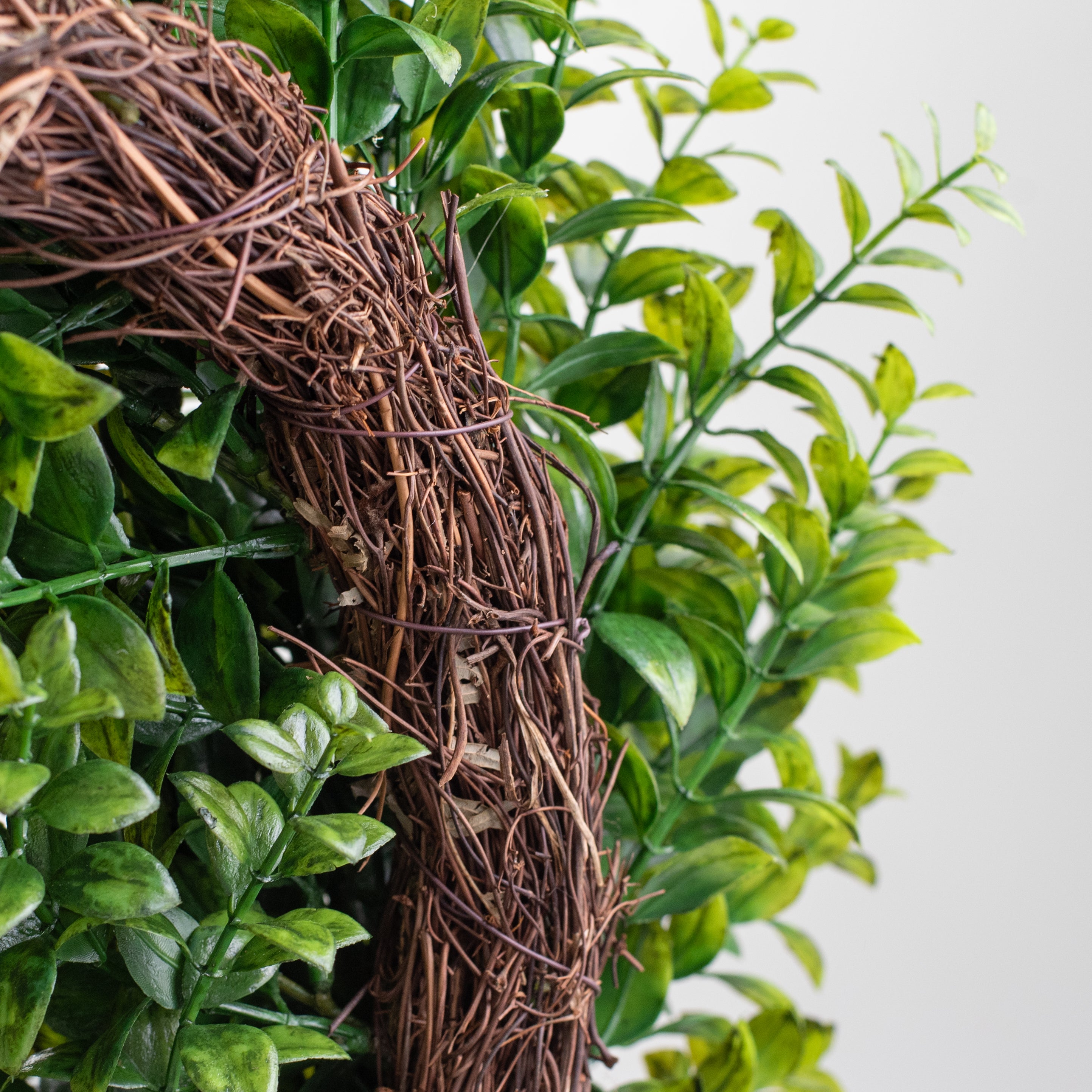 22" Eucalyptus Wreath detail photo 4