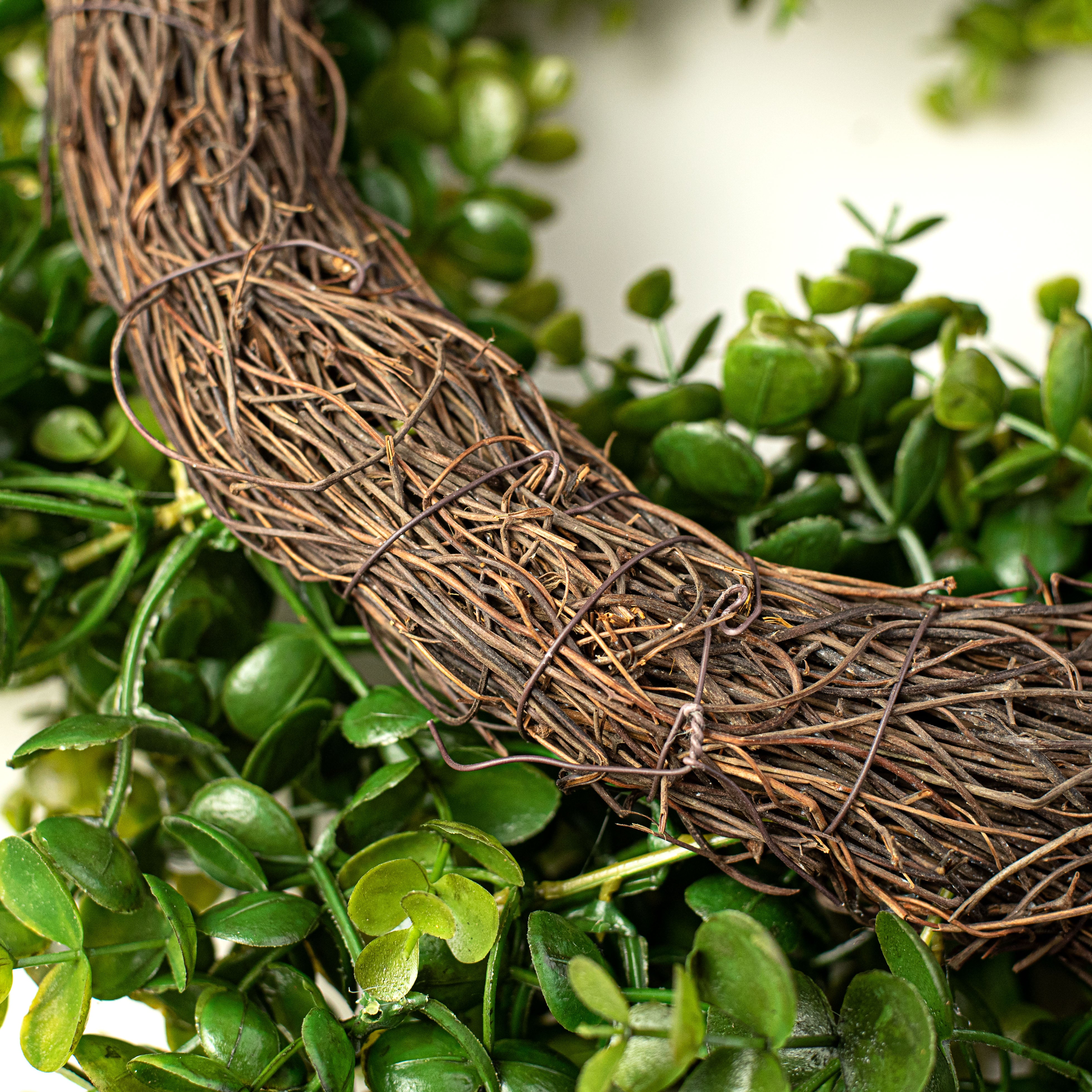 20" Eucalyptus Wreath detail photo 4