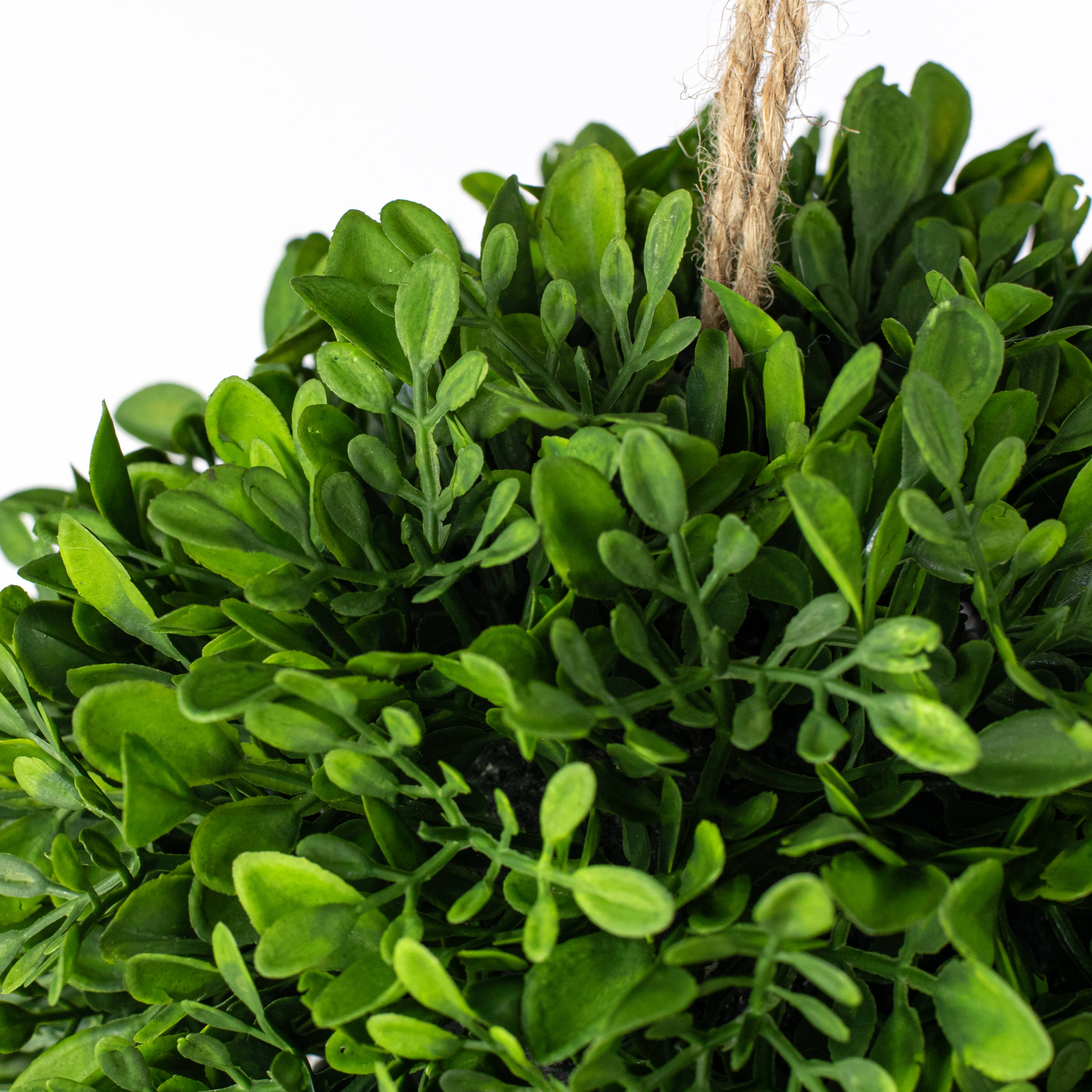 8" Evergreen Boxwood Ball Sphere detail photo 3