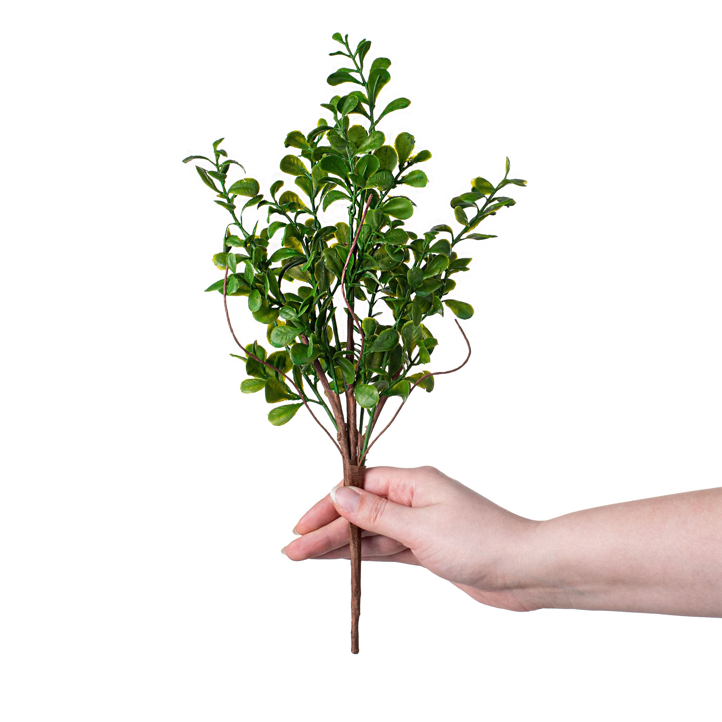 14" Evergreen Boxwood Spray detail photo 3