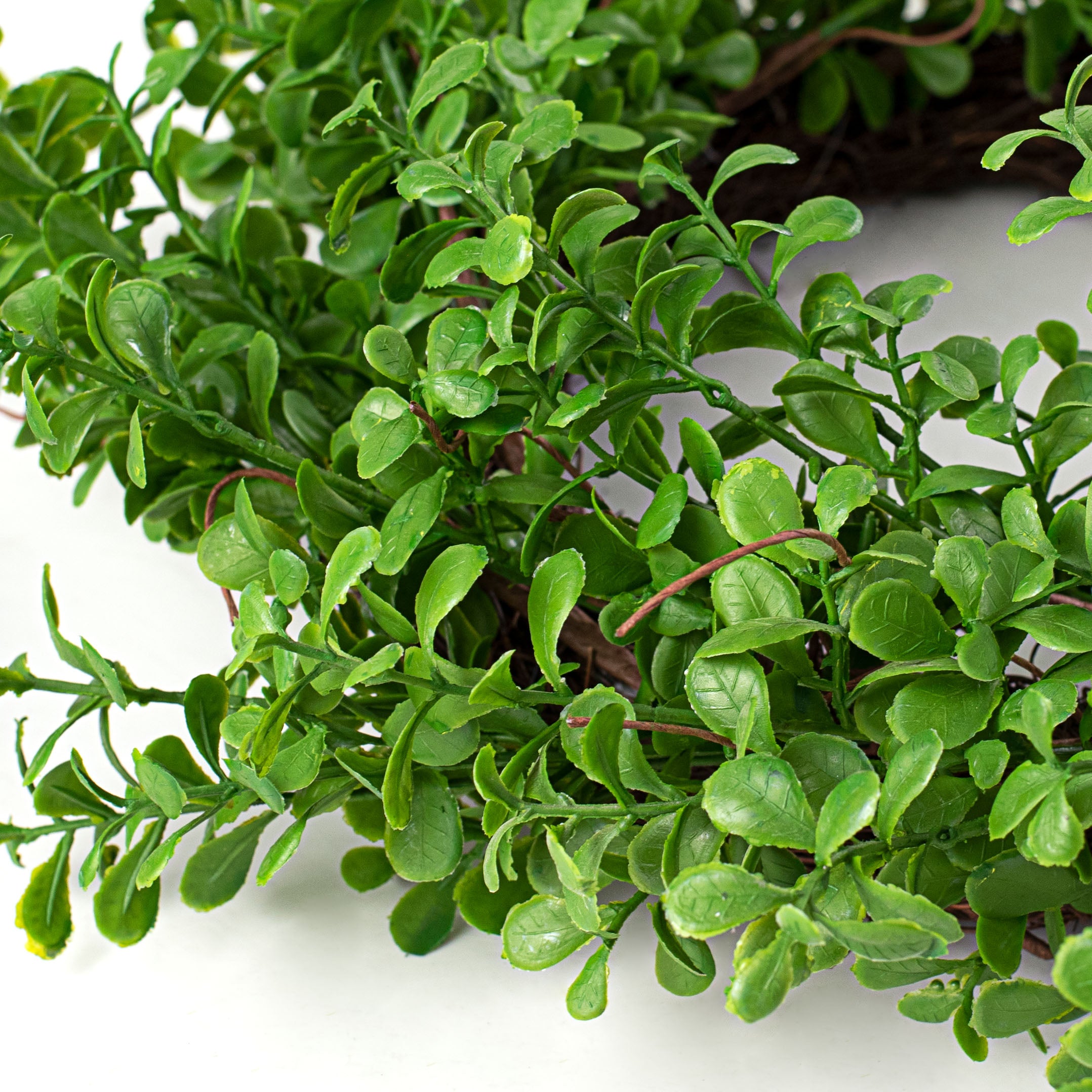 22" Evergreen Boxwood Twig Wreath detail photo 3