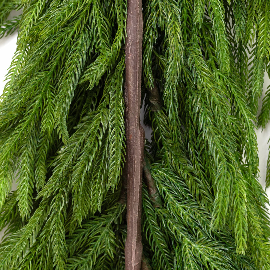 36" Norfolk Pine Teardrop