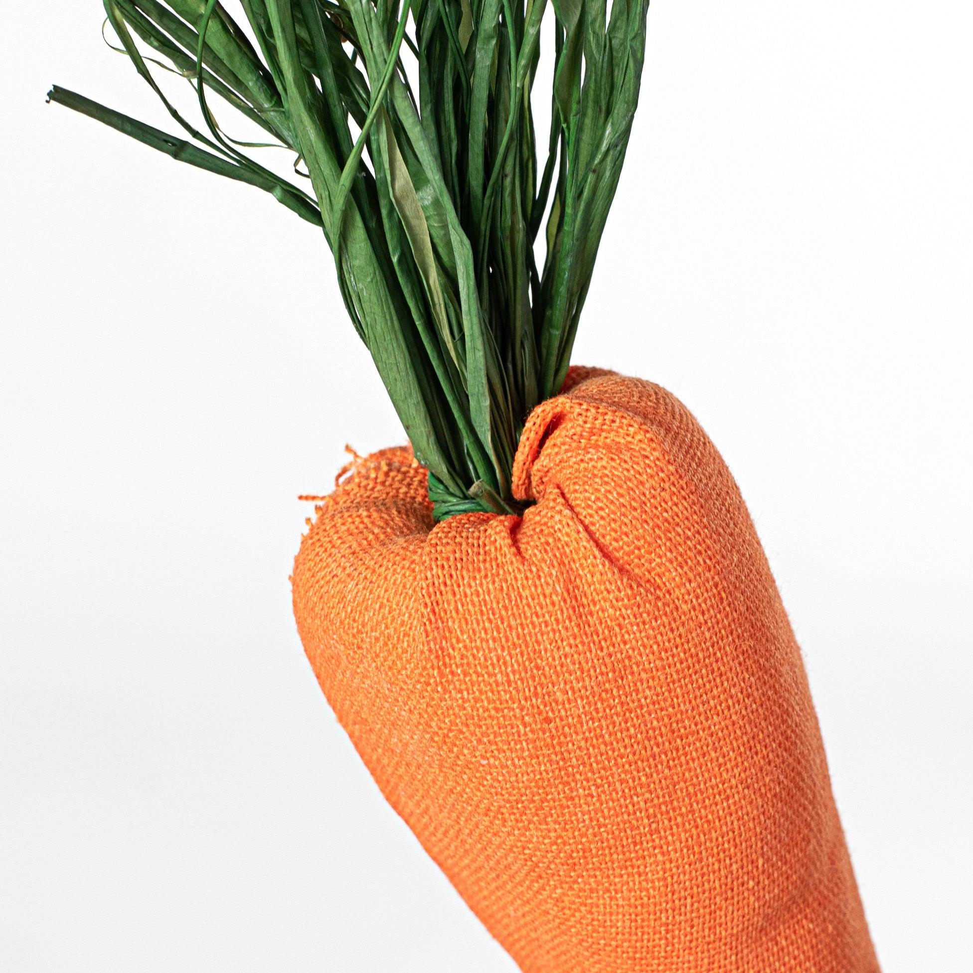 22" Fabric Carrot Pick: Orange, Black, White, Green Lifestyle Photo