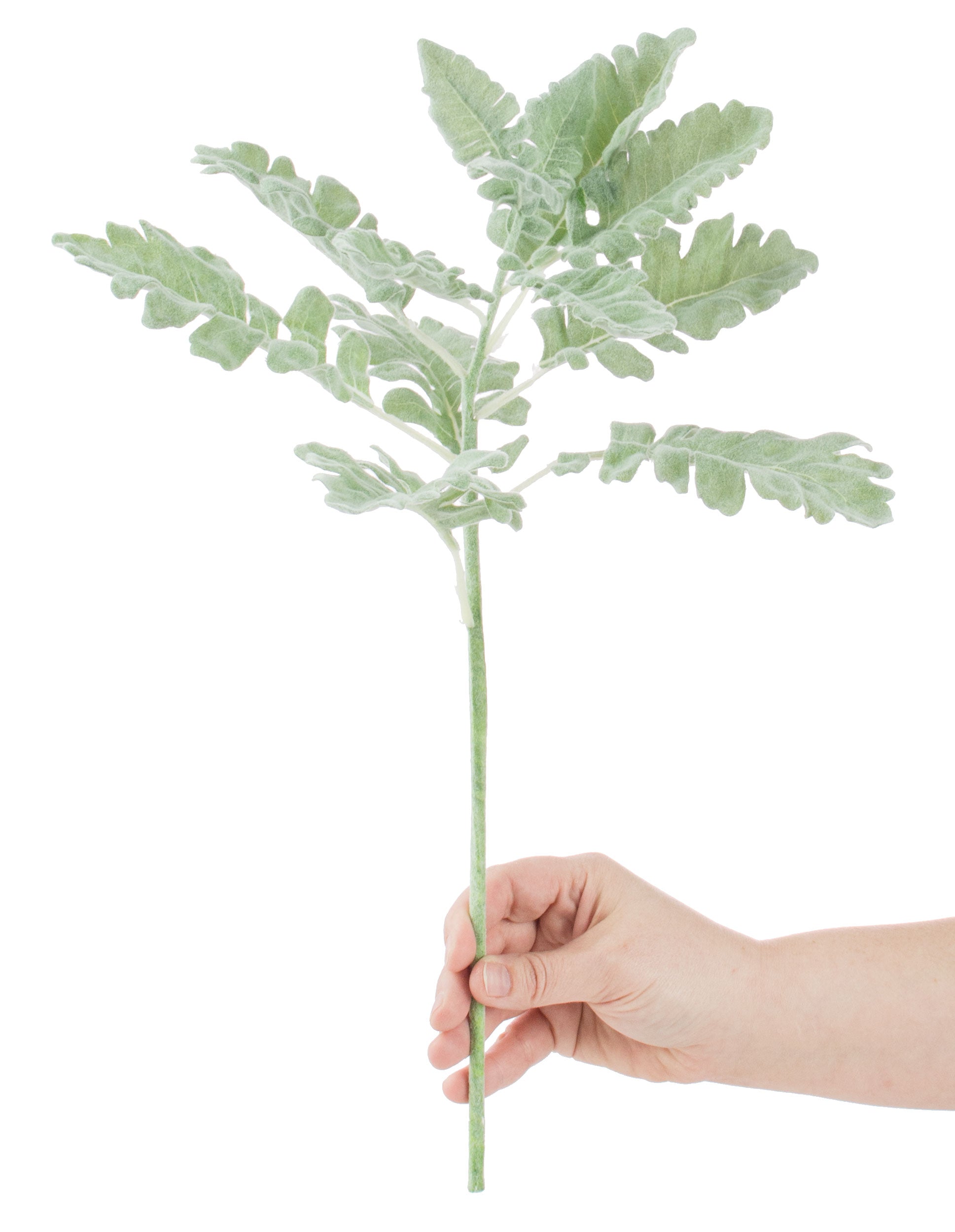 18" Fabric Dusty Miller Spray Lifestyle Photo