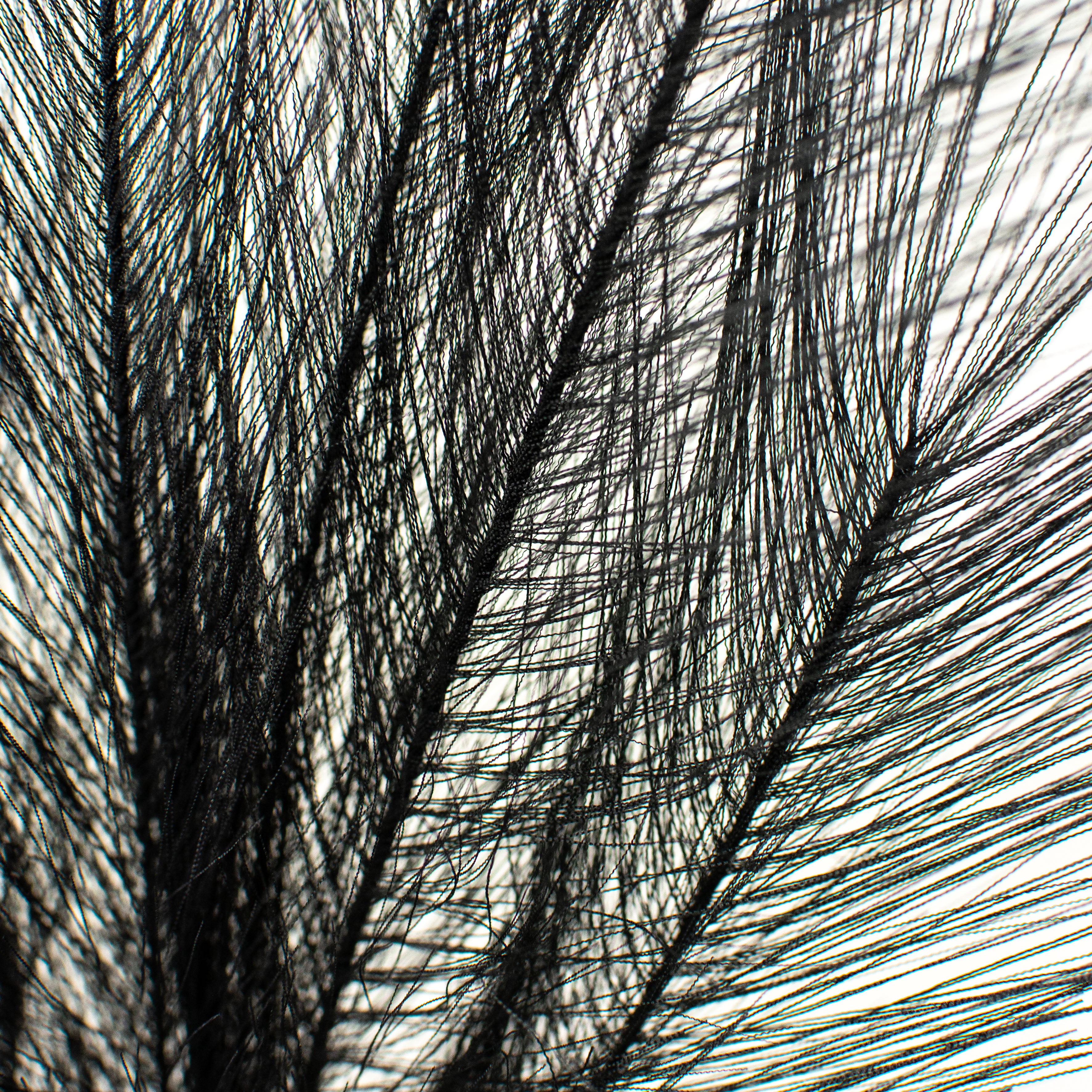 32" Fabric Pampas Grass Spray: Black detail photo 3