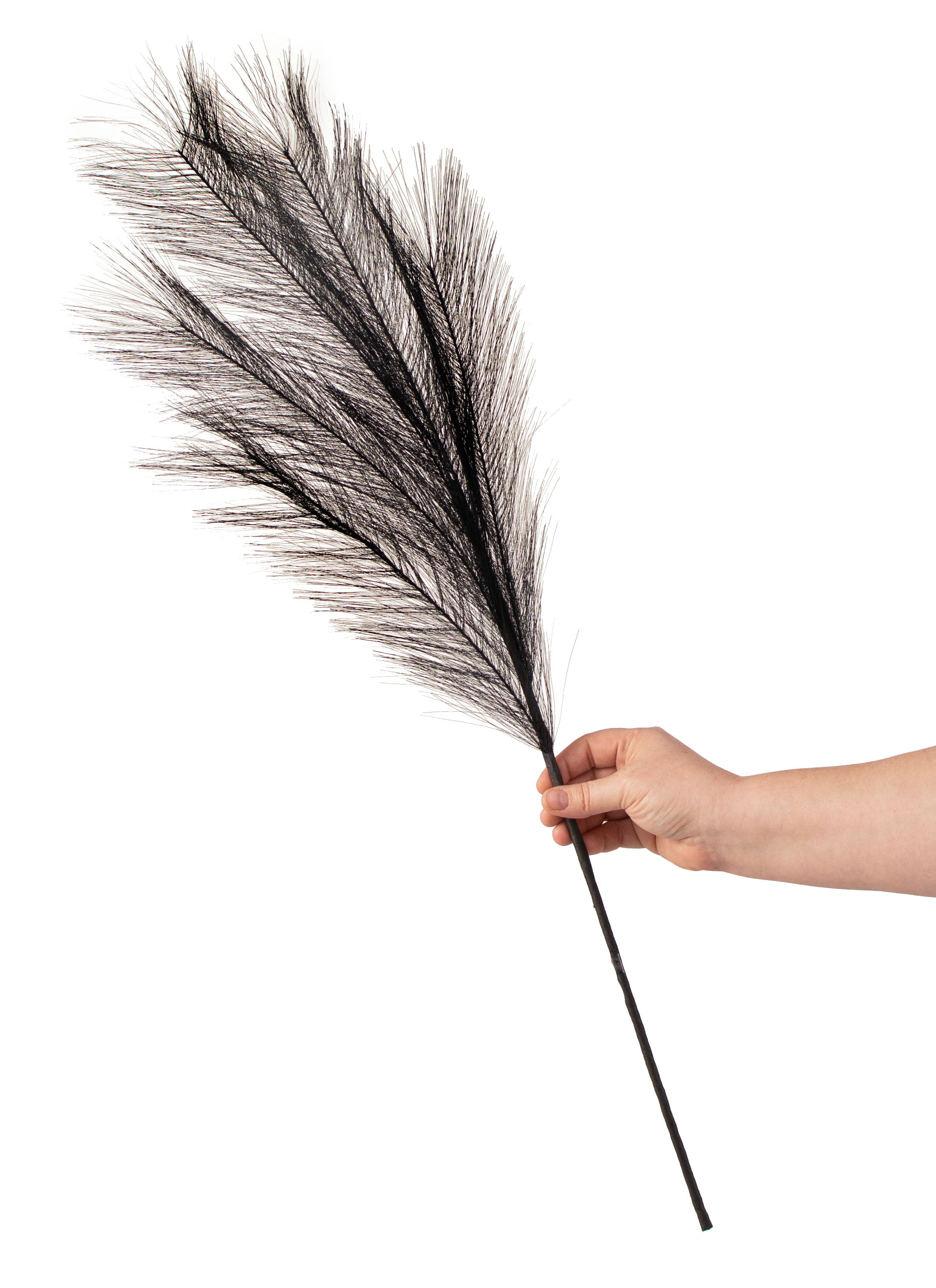 32" Fabric Pampas Grass Spray: Black detail photo 4