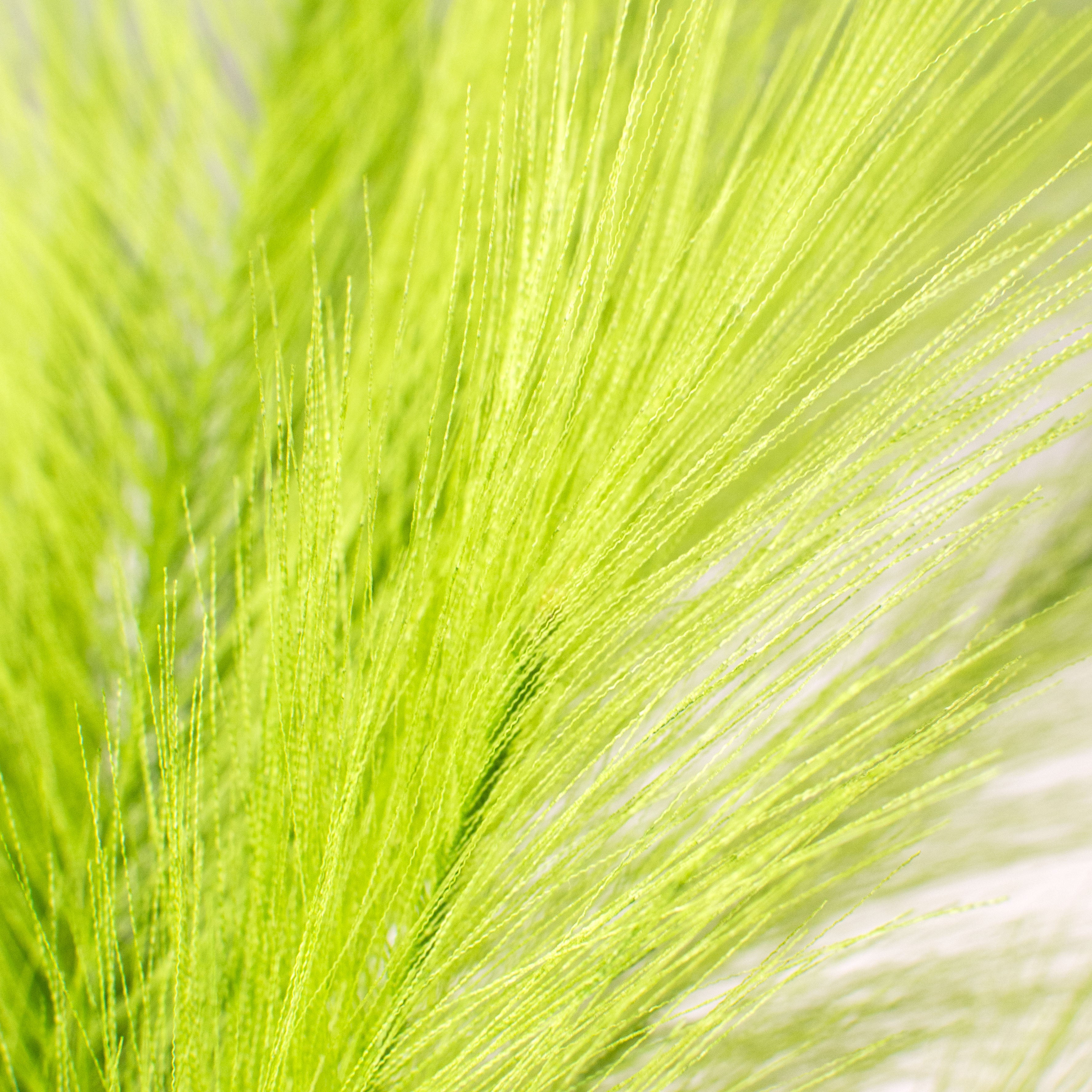 43" Fabric Pampas Grass Spray: Lime Green detail photo 3