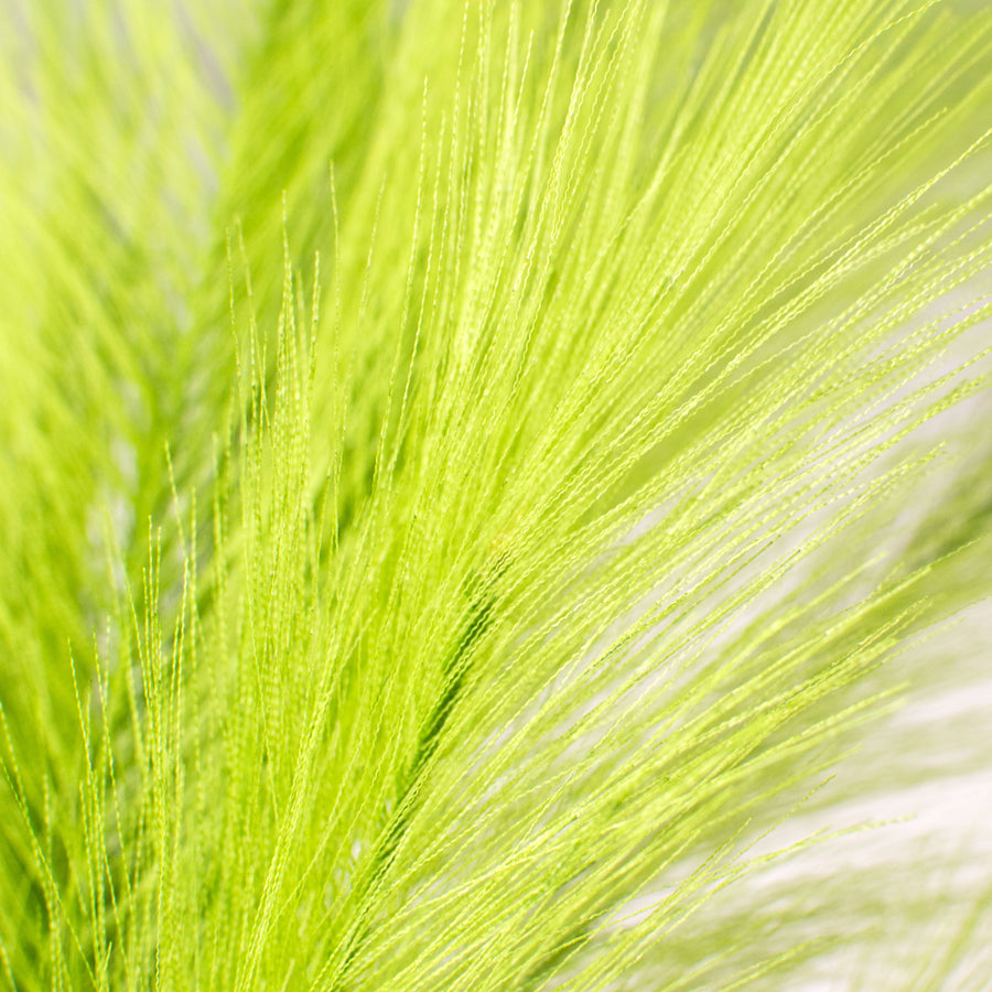 43" Fabric Pampas Grass Spray: Lime Green detail photo 3