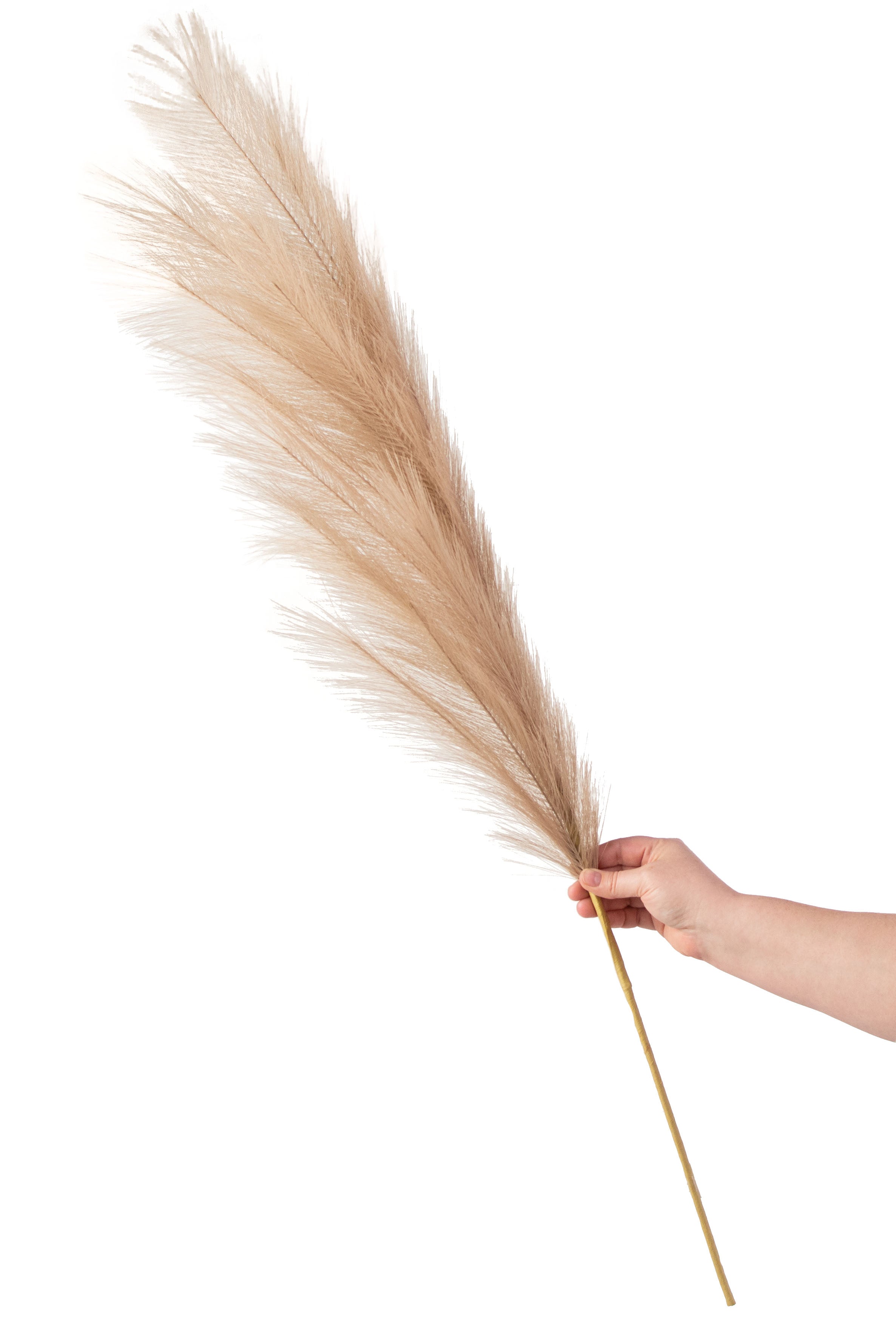 43" Fabric Pampas Grass Spray: Natural detail photo 4