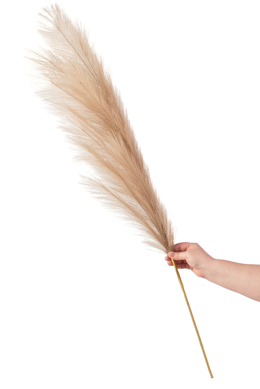 43" Fabric Pampas Grass Spray: Natural detail photo 4