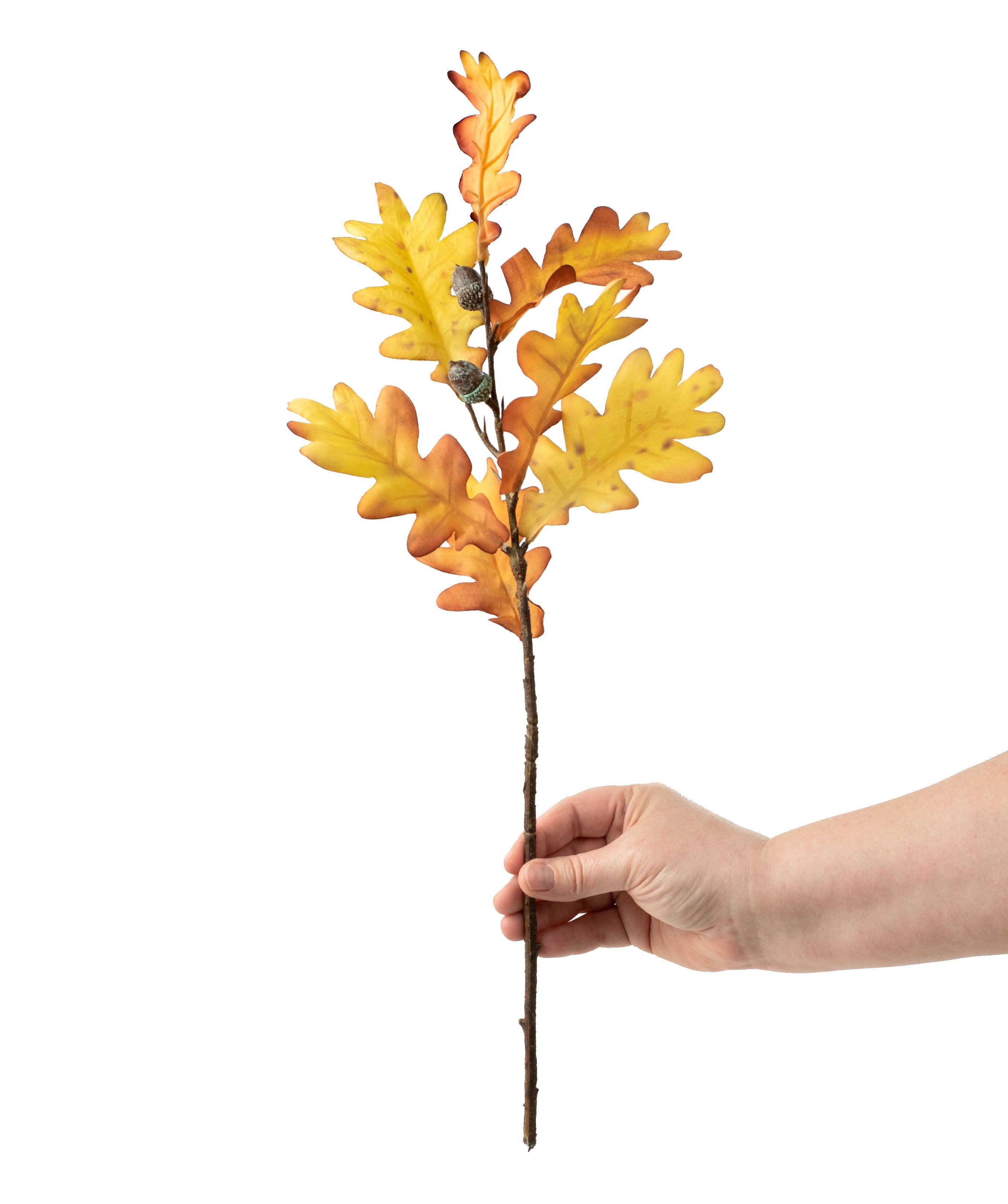25" Fall Oak Leaves Acorn Spray: Gold detail photo 3