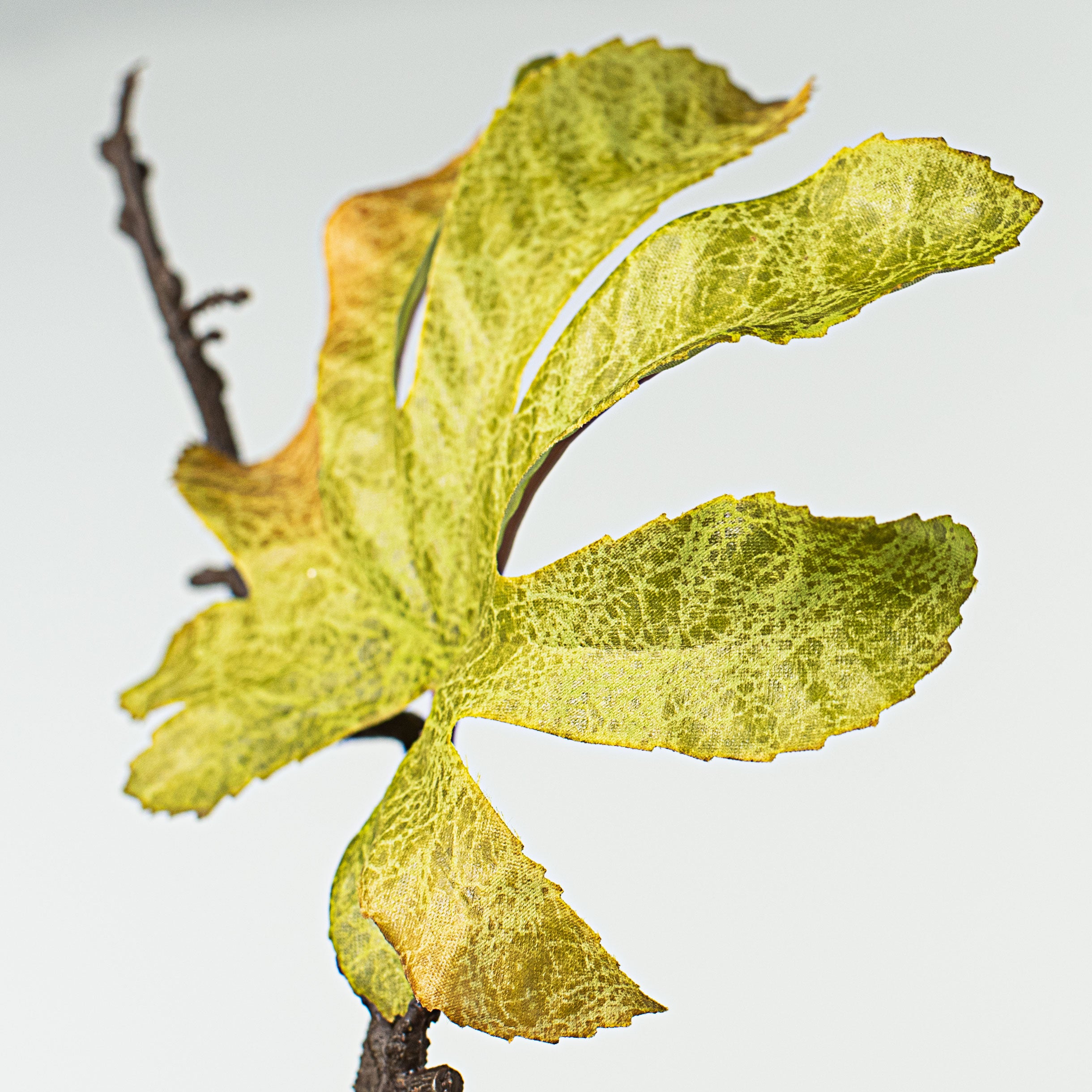 27" Fatsia Japonica Leaf Spray: Red, Yellow, Orange Lifestyle Photo