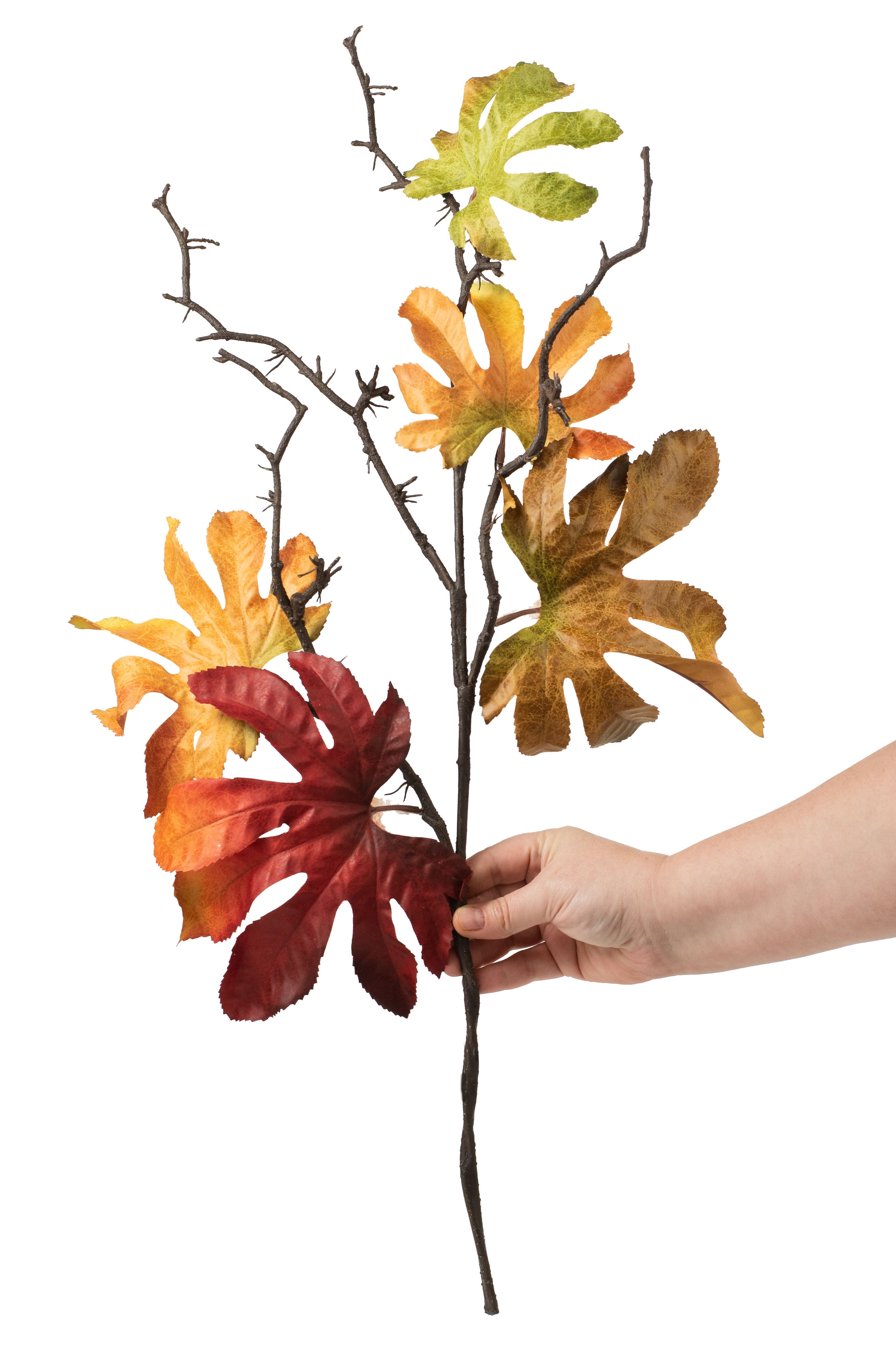 27" Fatsia Japonica Leaf Spray: Red, Yellow, Orange detail photo 3