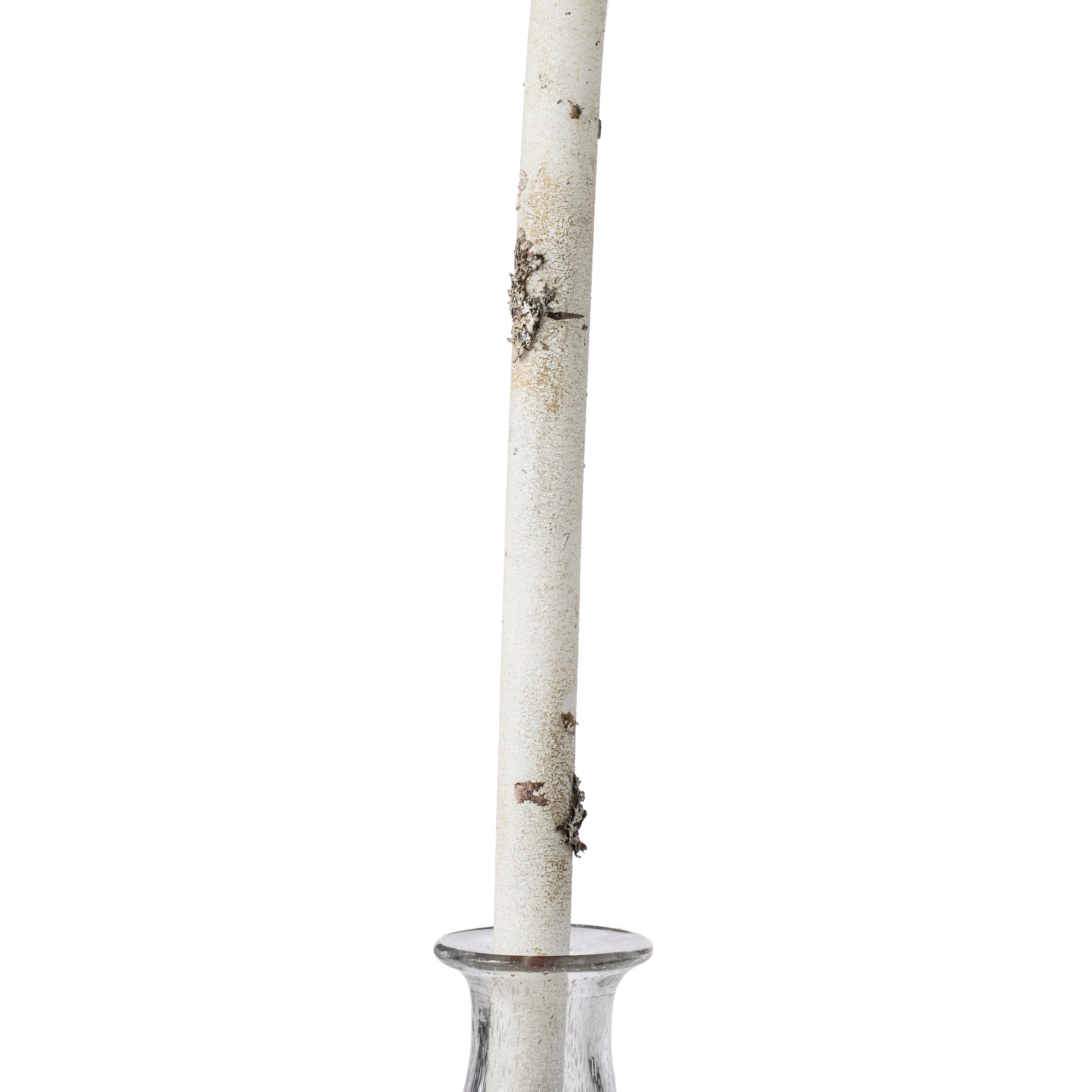 72" Faux Birch Flexible Log Item Number: 2140078WB