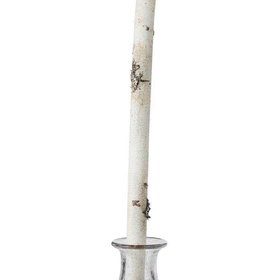 72" Faux Birch Flexible Log Item Number: 2140078WB