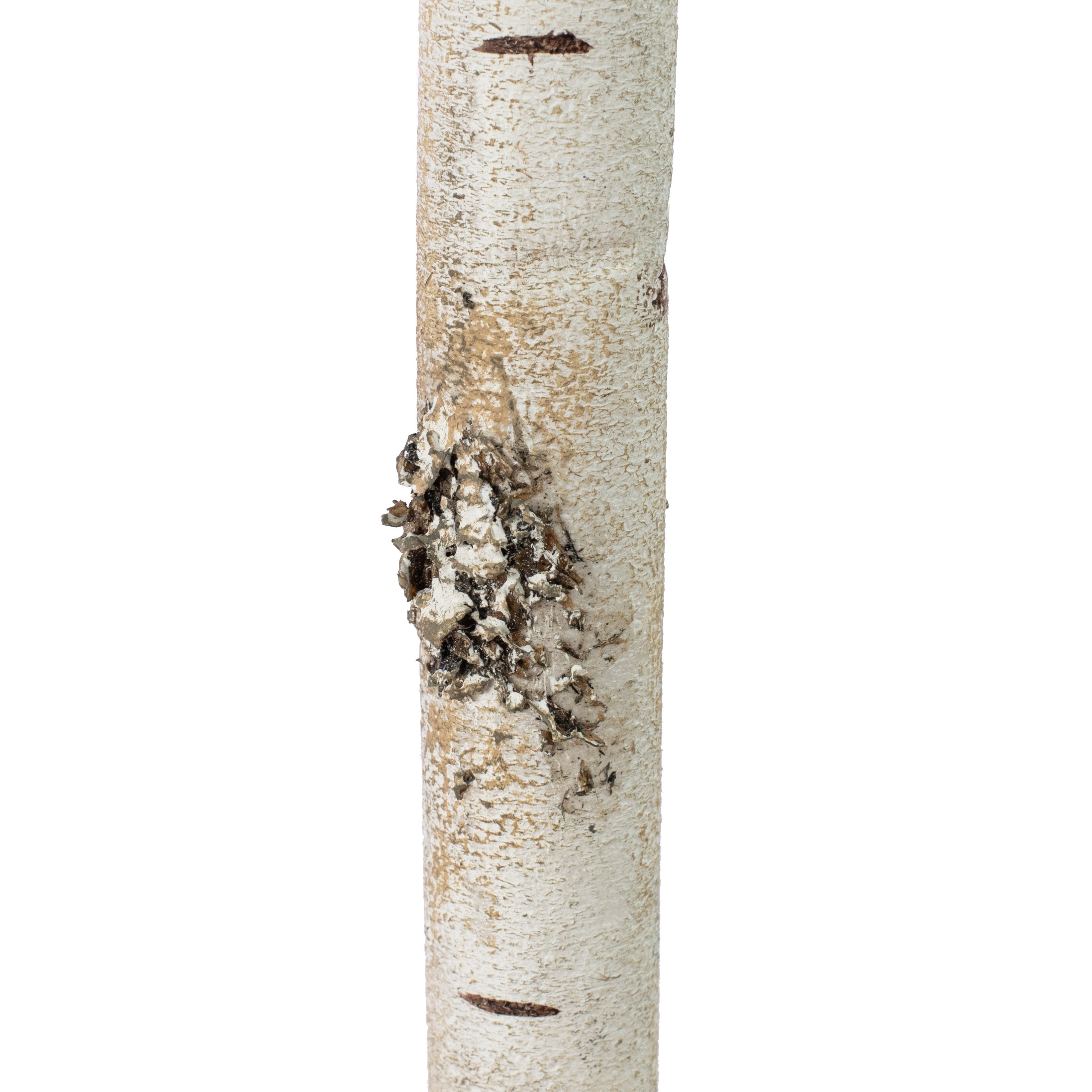 72" Faux Birch Flexible Log detail photo 3