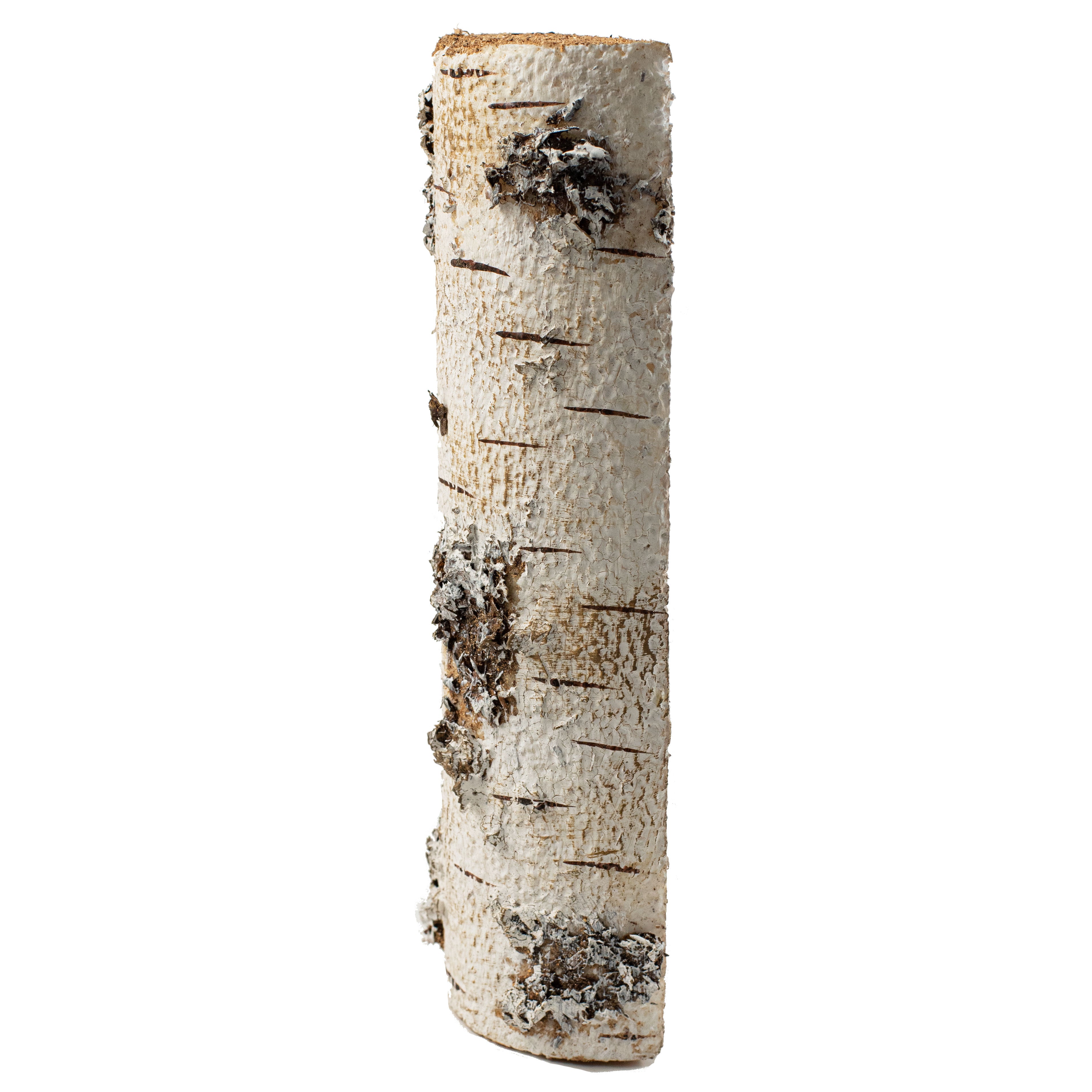 12" Faux Birch Log detail photo 3