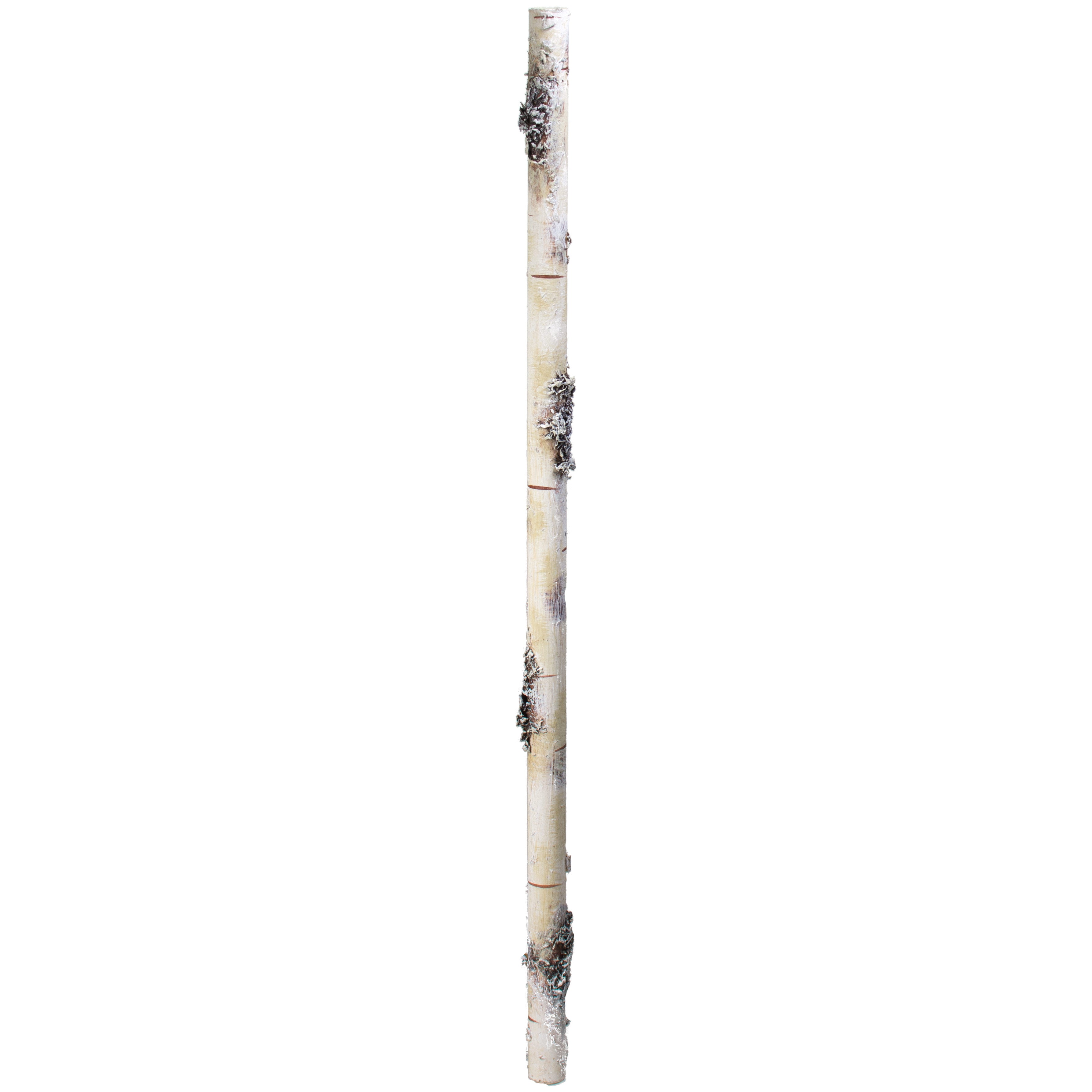 22.5" Faux Birch Stick Item Number: 2140064WH