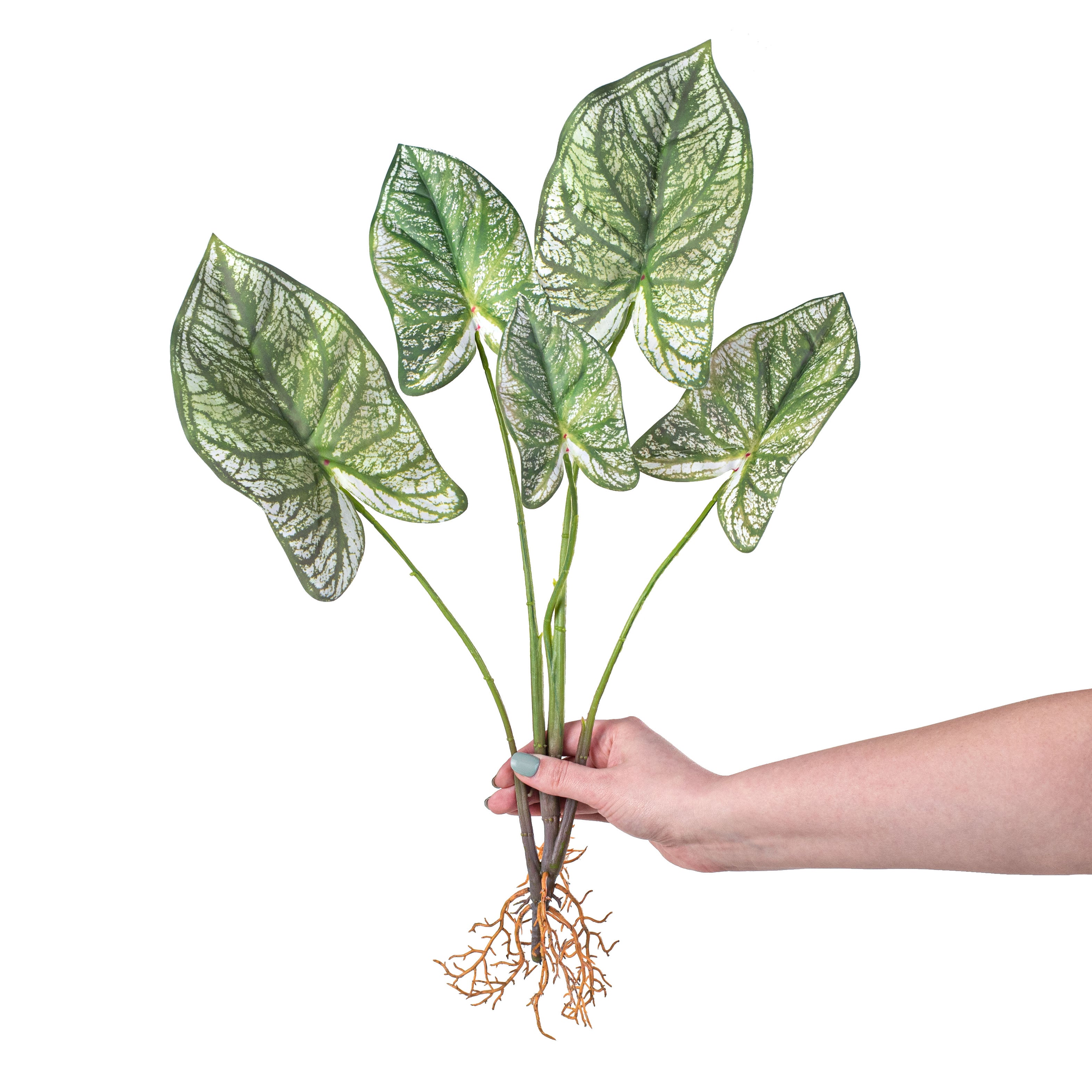 23" Faux Caladium Plant detail photo 3