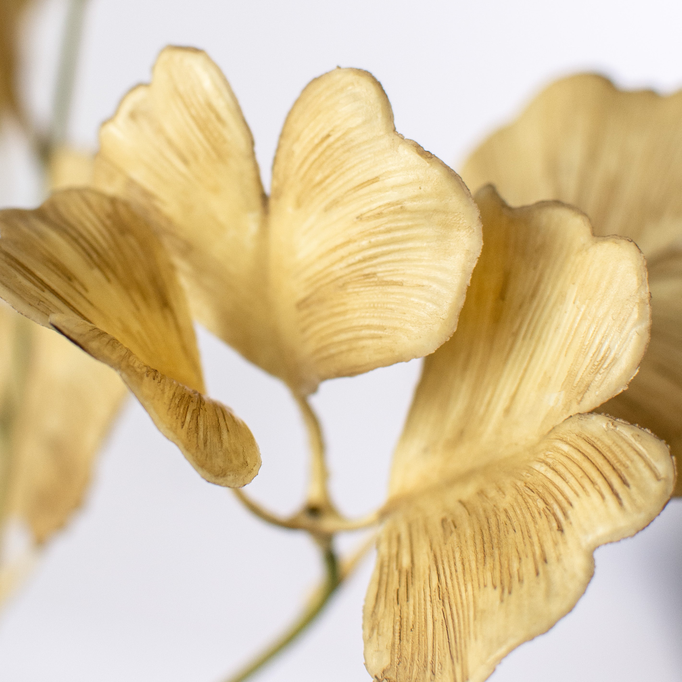 24" Faux Dried Ginkgo Leaf Spray: Beige detail photo 4