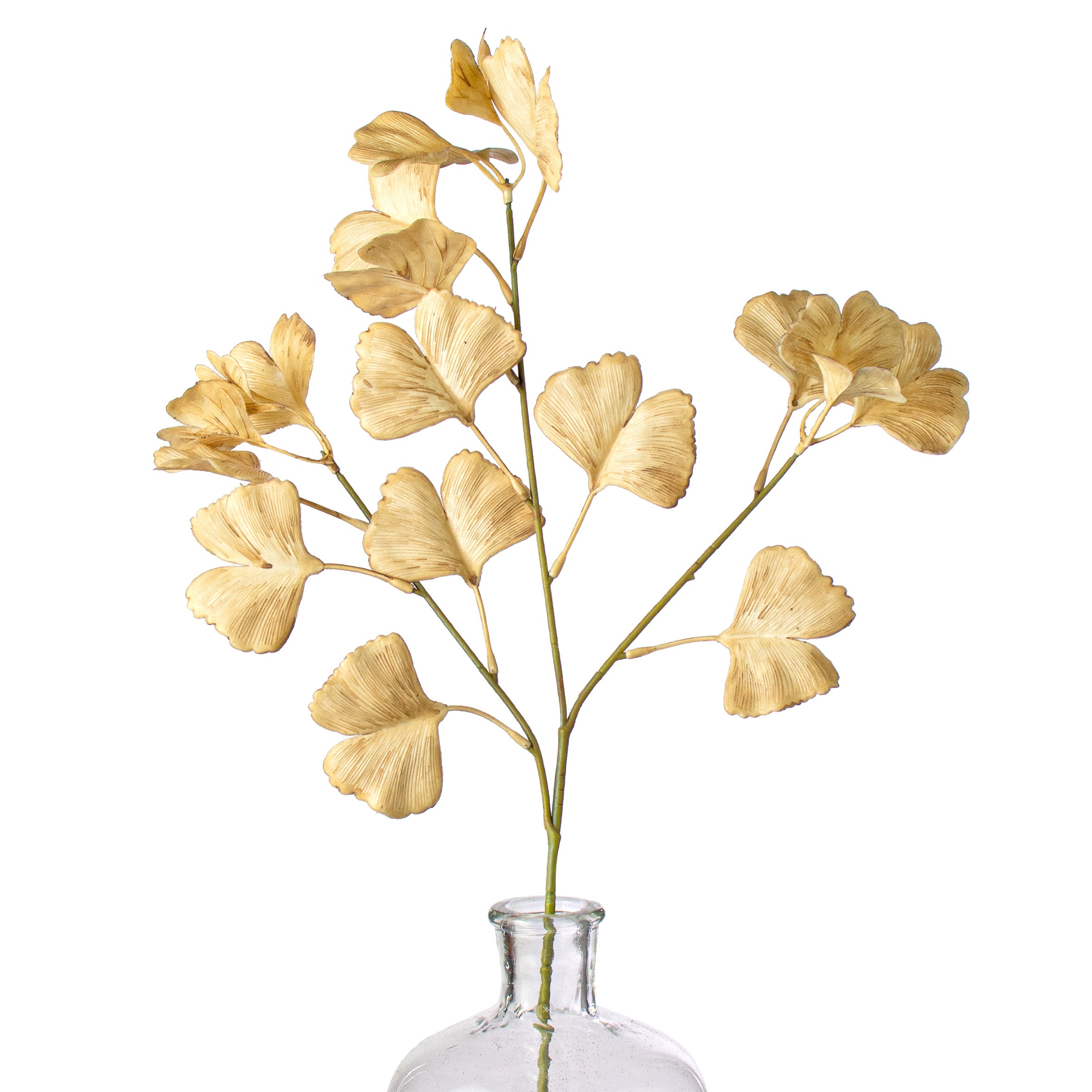 24" Faux Dried Ginkgo Leaf Spray: Beige Item Number: 186982