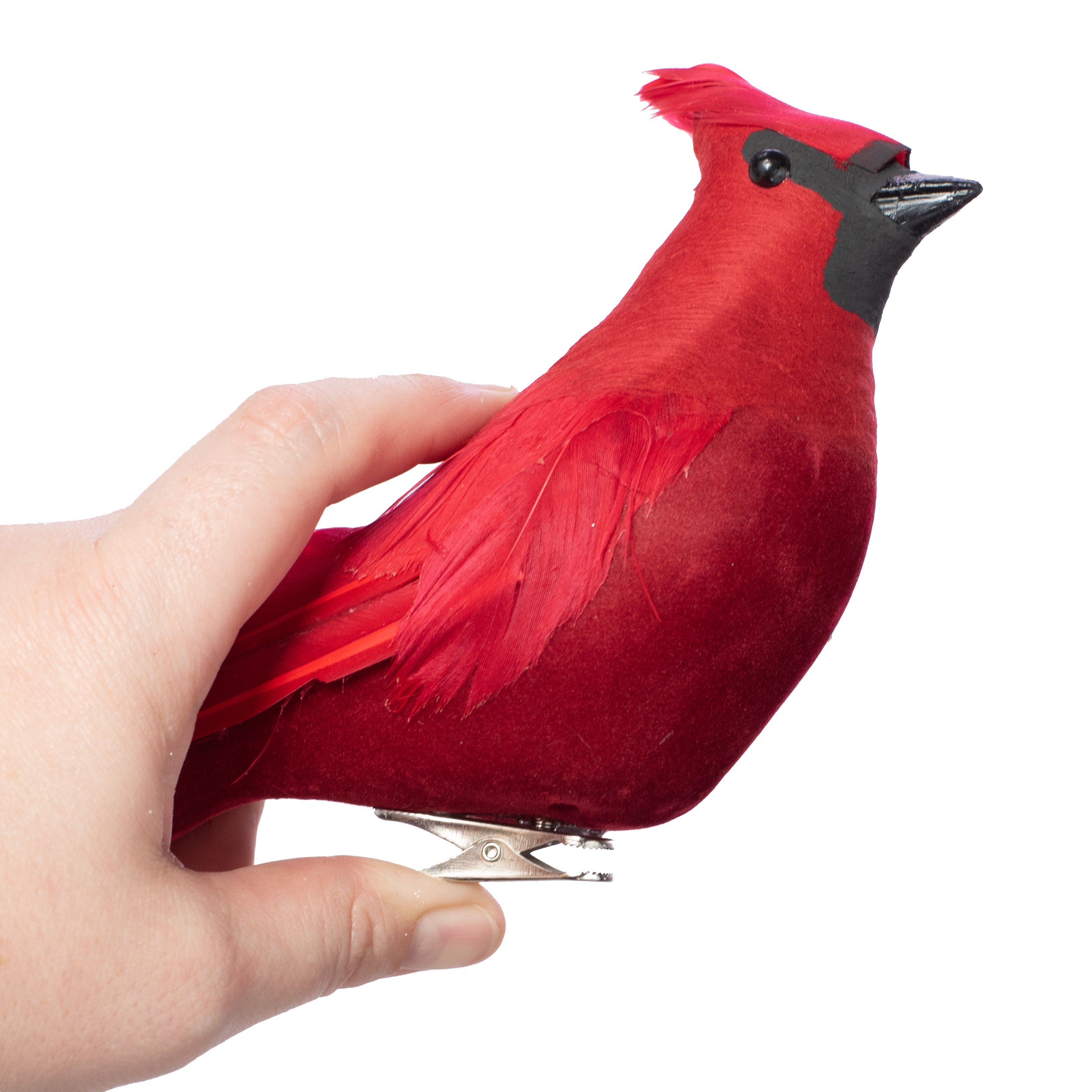 12" Feather Cardinal with Clip detail photo 3