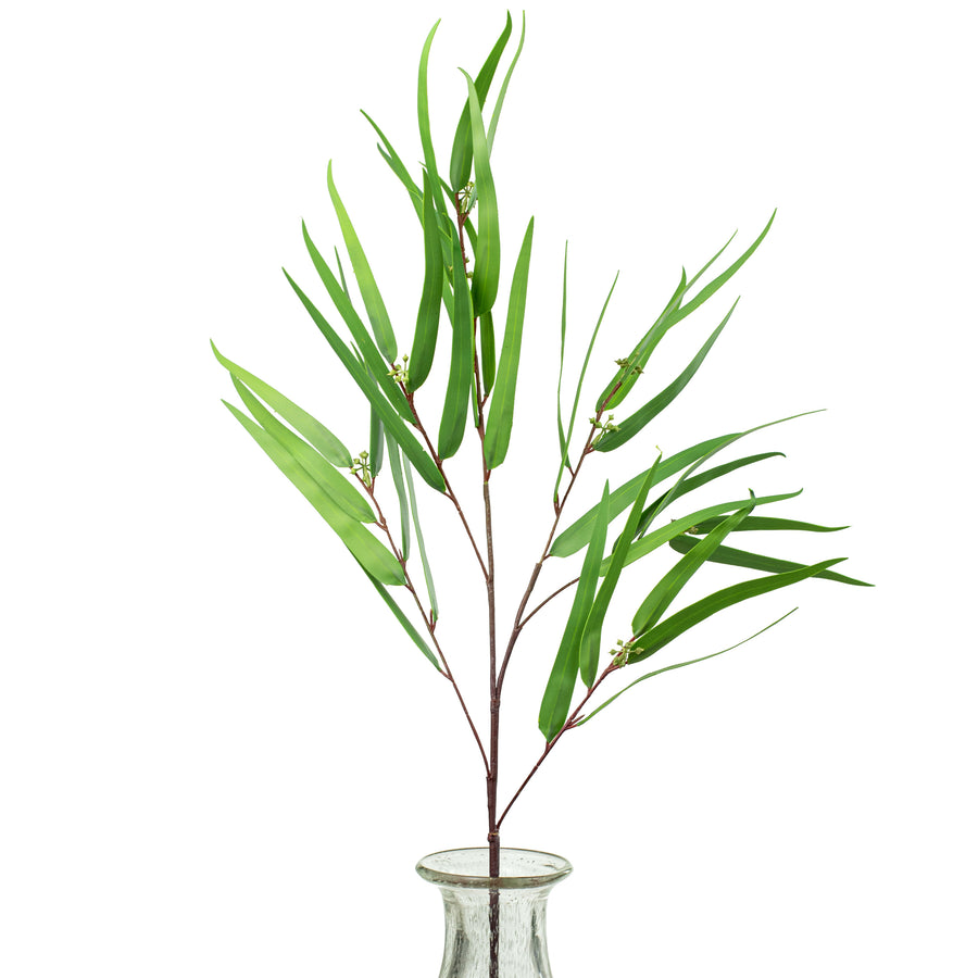 36" Feather Eucalyptus Bunch Item Number: 2310209SG