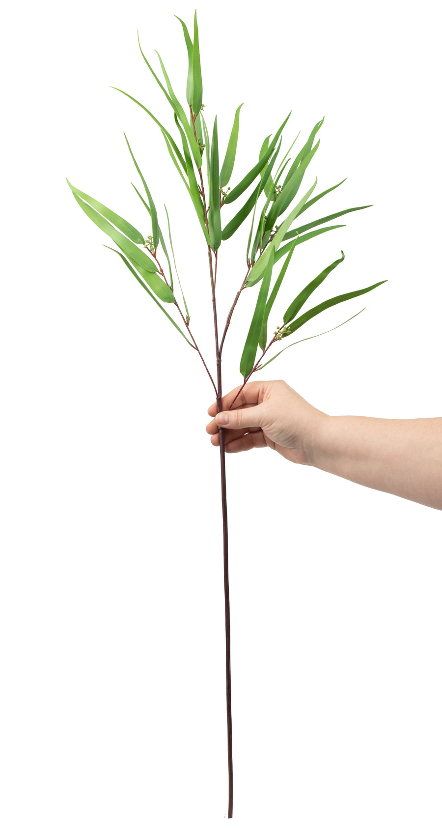 36" Feather Eucalyptus Bunch detail photo 3