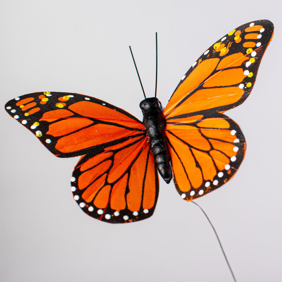 4" Feather Monarch Butterfly Picks: Orange (12) detail photo 4
