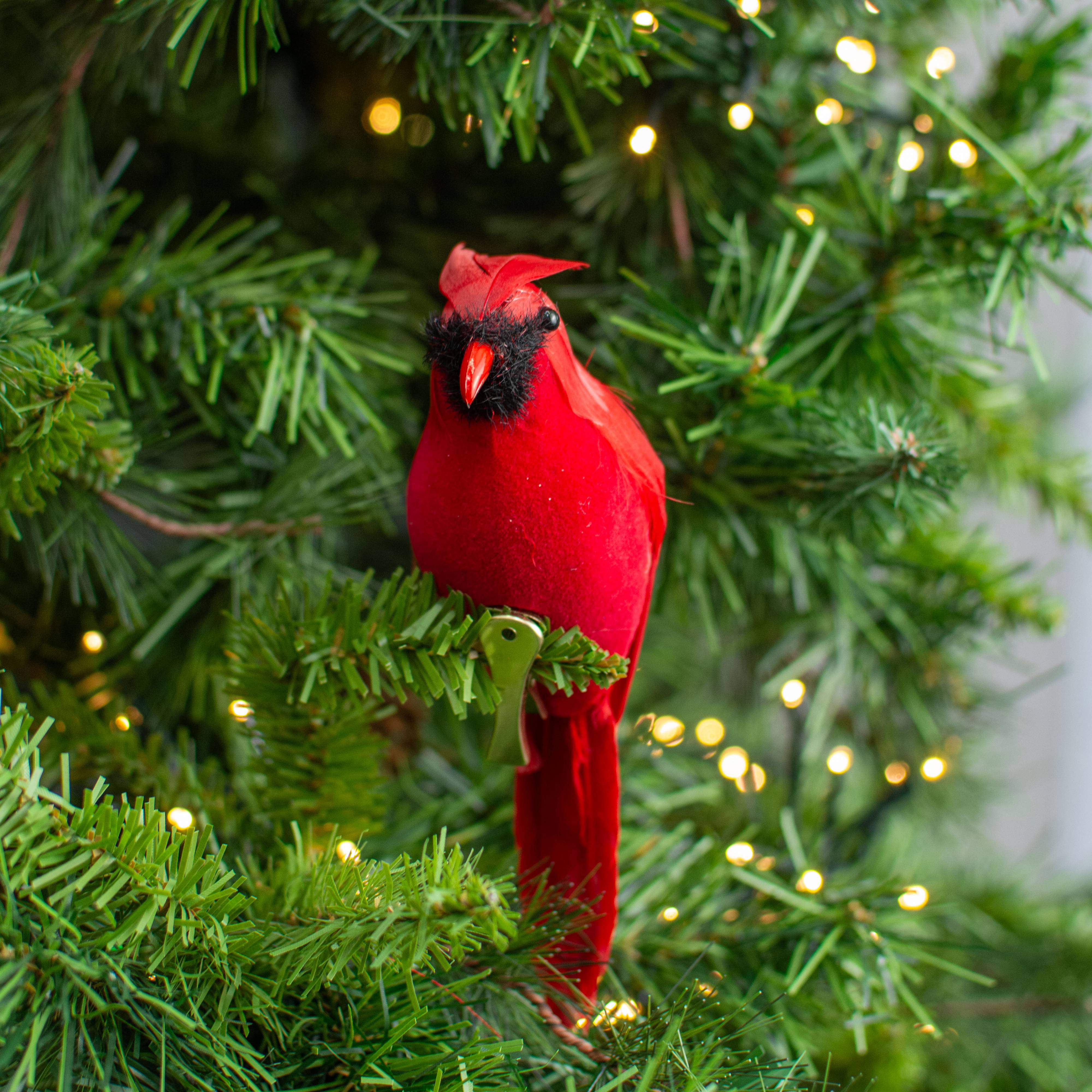 7" Feathered Cardinal with Clip Ornament Lifestyle Photo