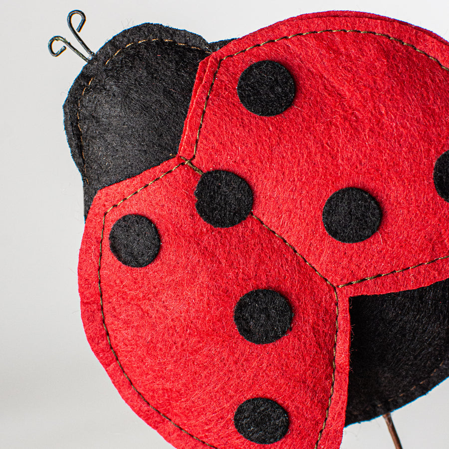 15" Felt Lady Bug Pick Lifestyle Photo