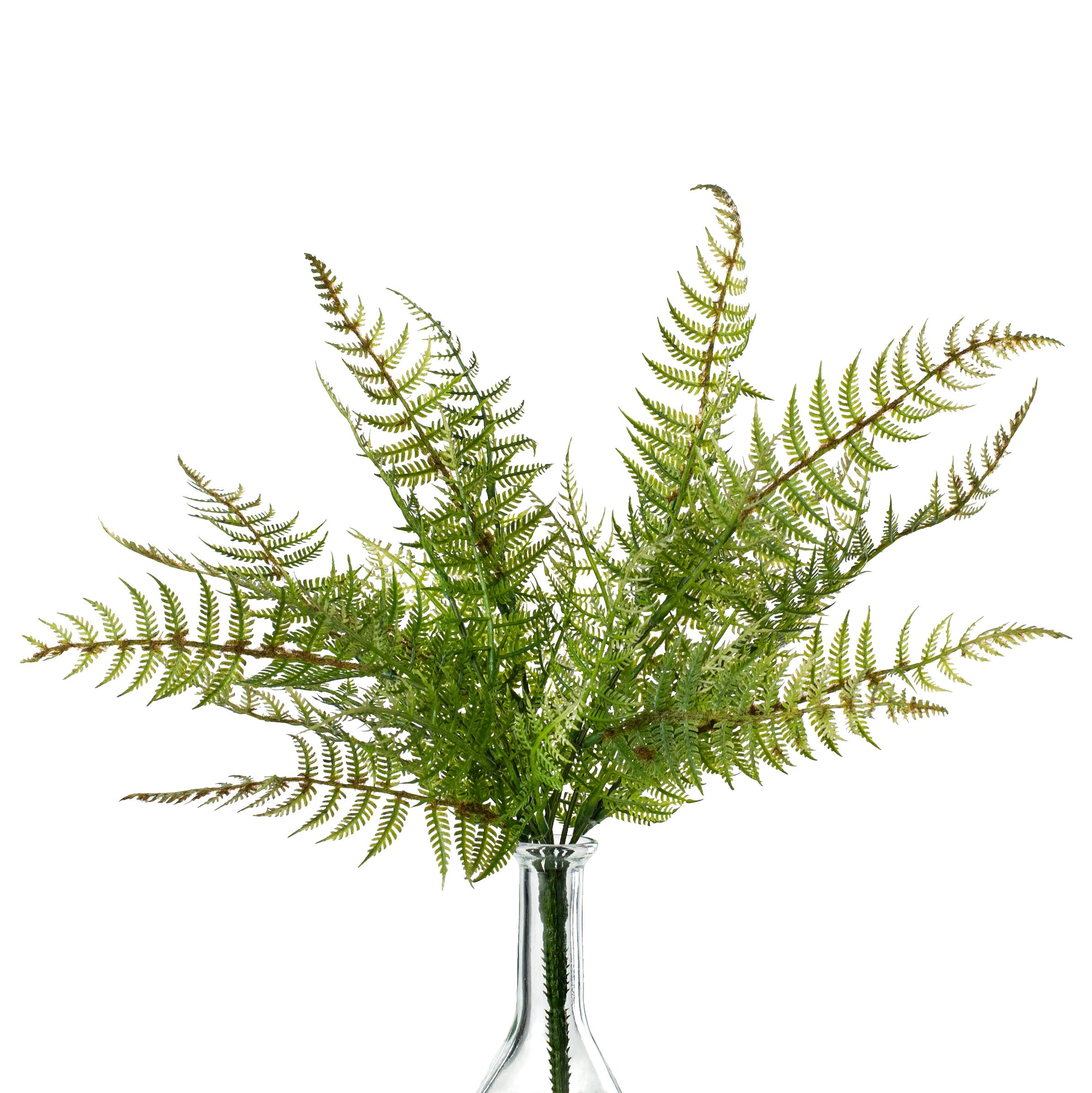 17" Fern Bush Item Number: 210842