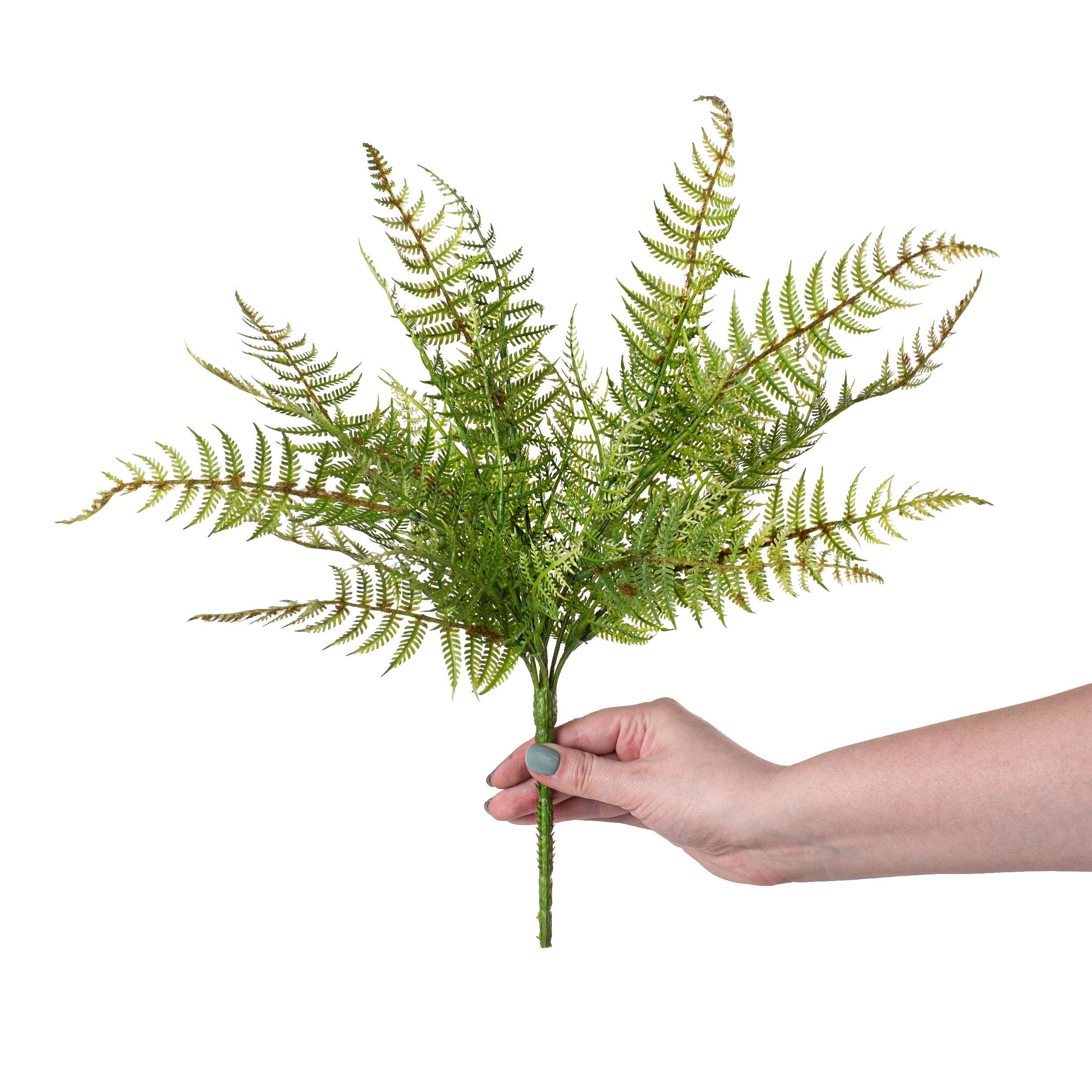 17" Fern Bush detail photo 3